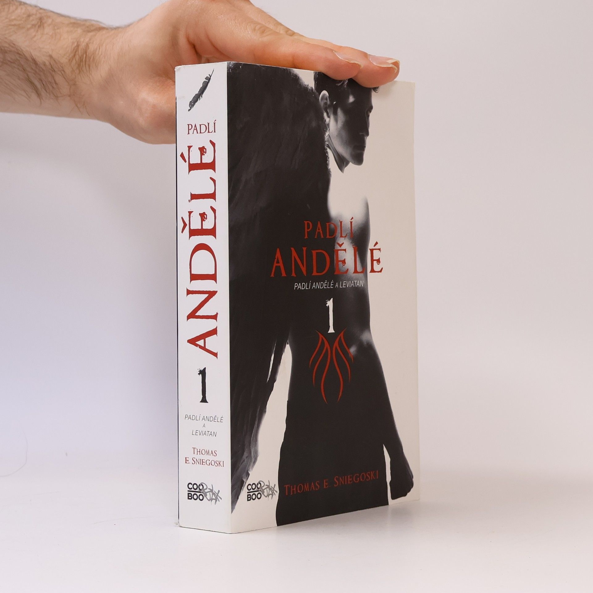Thomas E. Sniegoski Padlí andělé a Leviatan. Padlí andělé. 1. díl