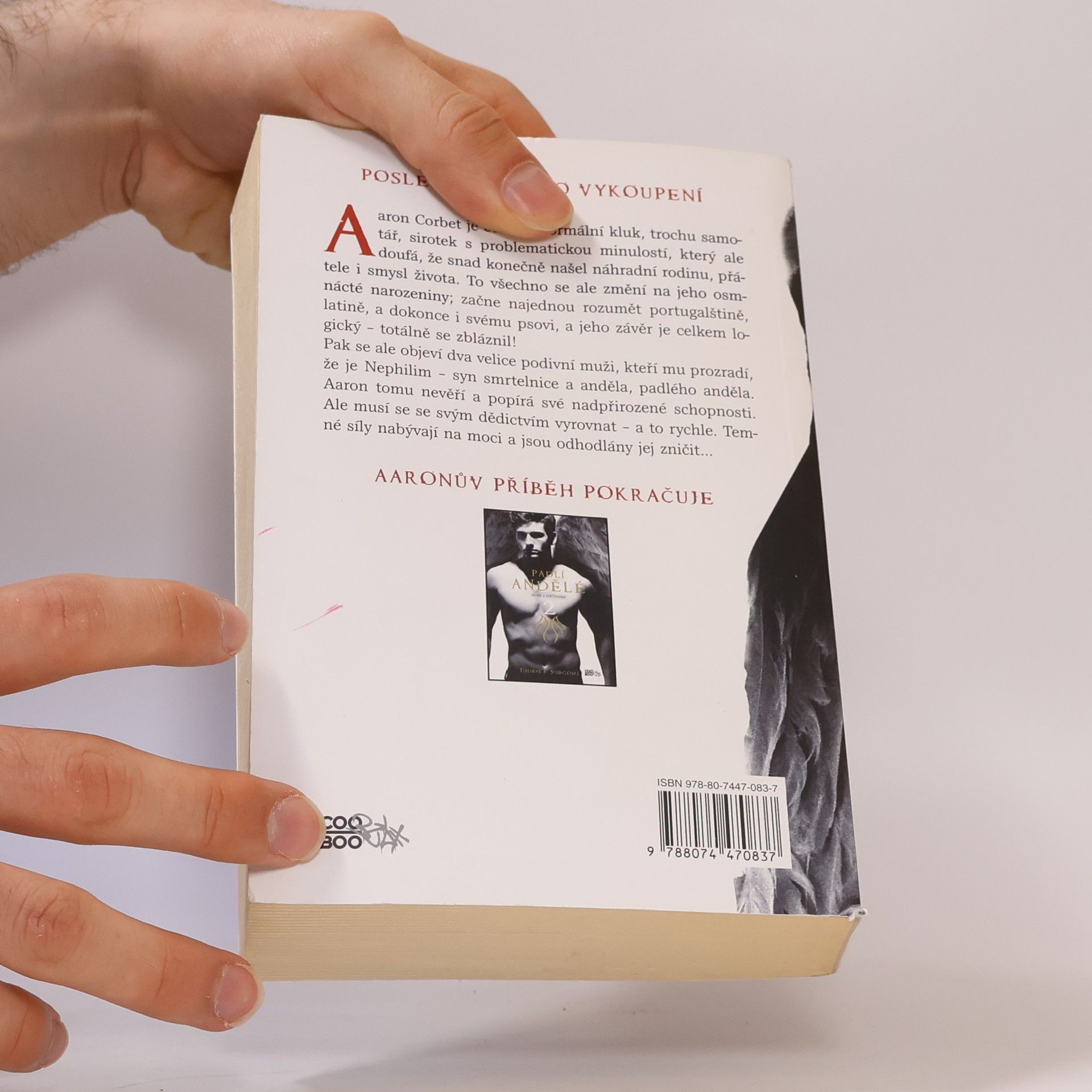 Thomas E. Sniegoski Padlí andělé a Leviatan. Padlí andělé. 1. díl