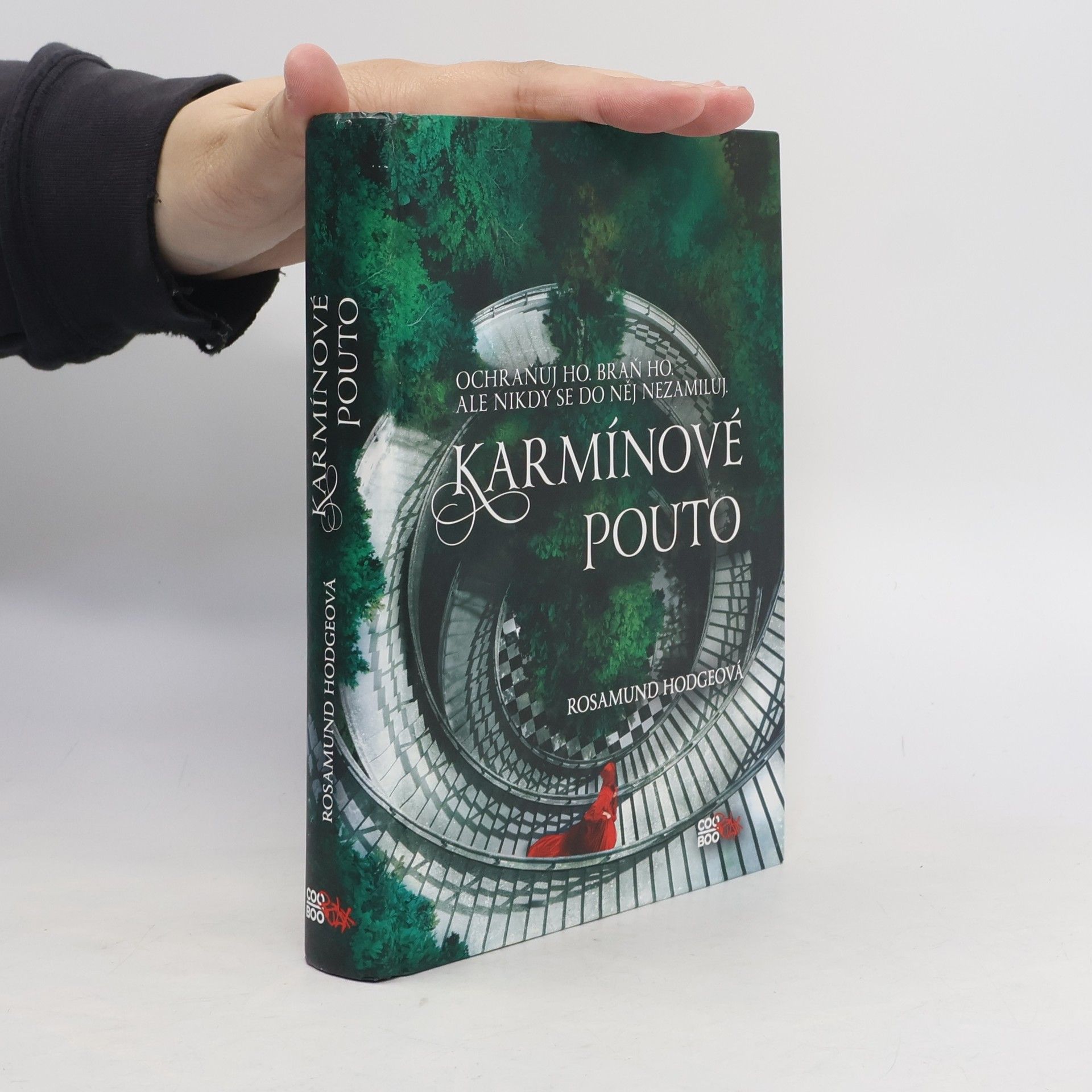 Rosamund Hodge Karmínové pouto