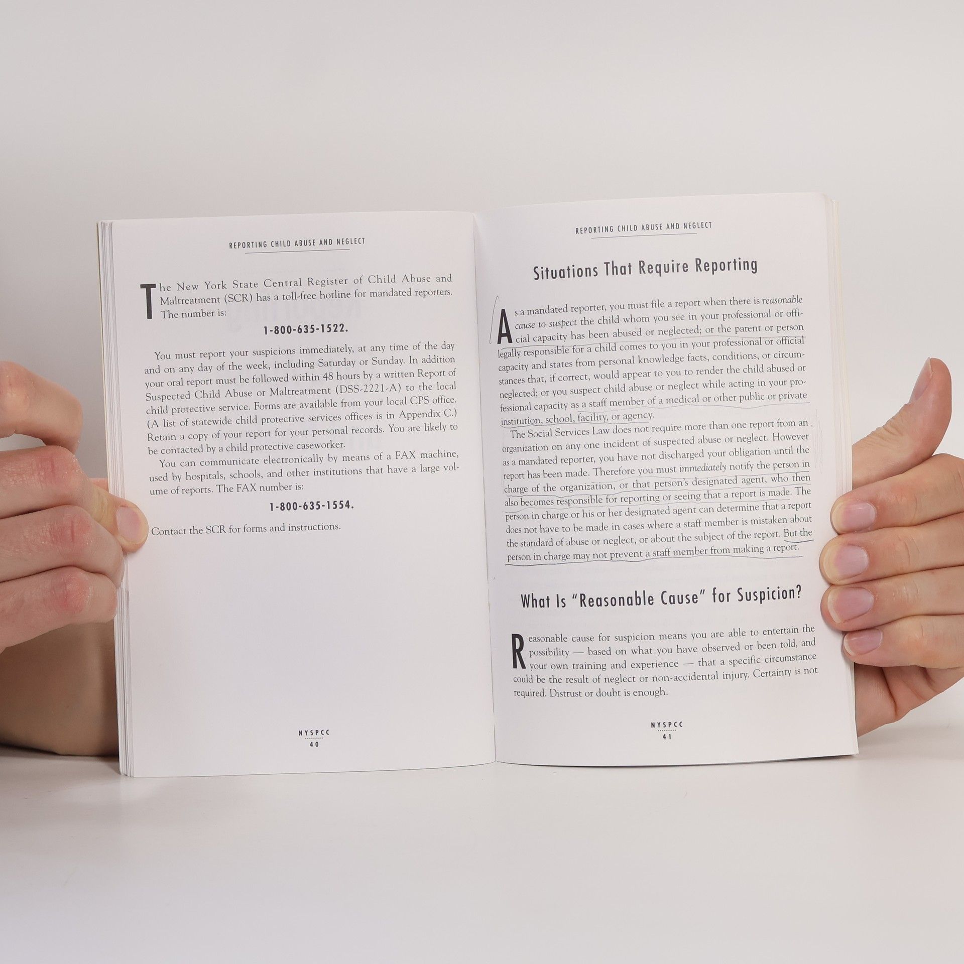 Anne Reiniger NYSPCC Professionals' Handbook
