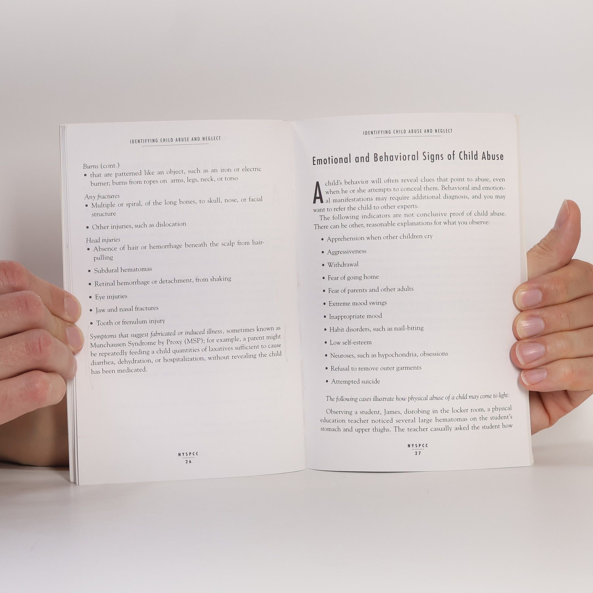 Anne Reiniger NYSPCC Professionals' Handbook