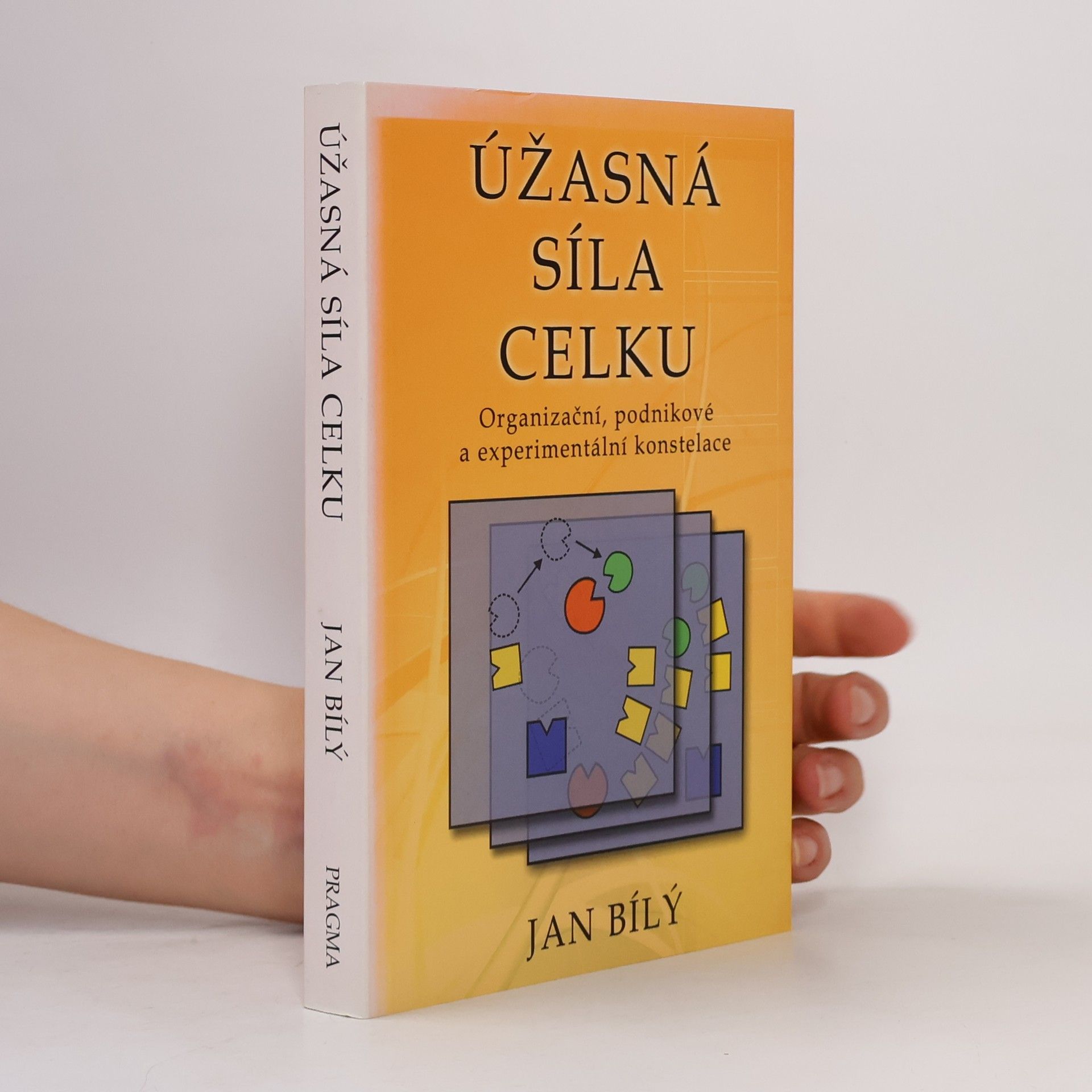 Jan Bílý Úžasná síla celku : organizační, podnikové a experimentální konstelace