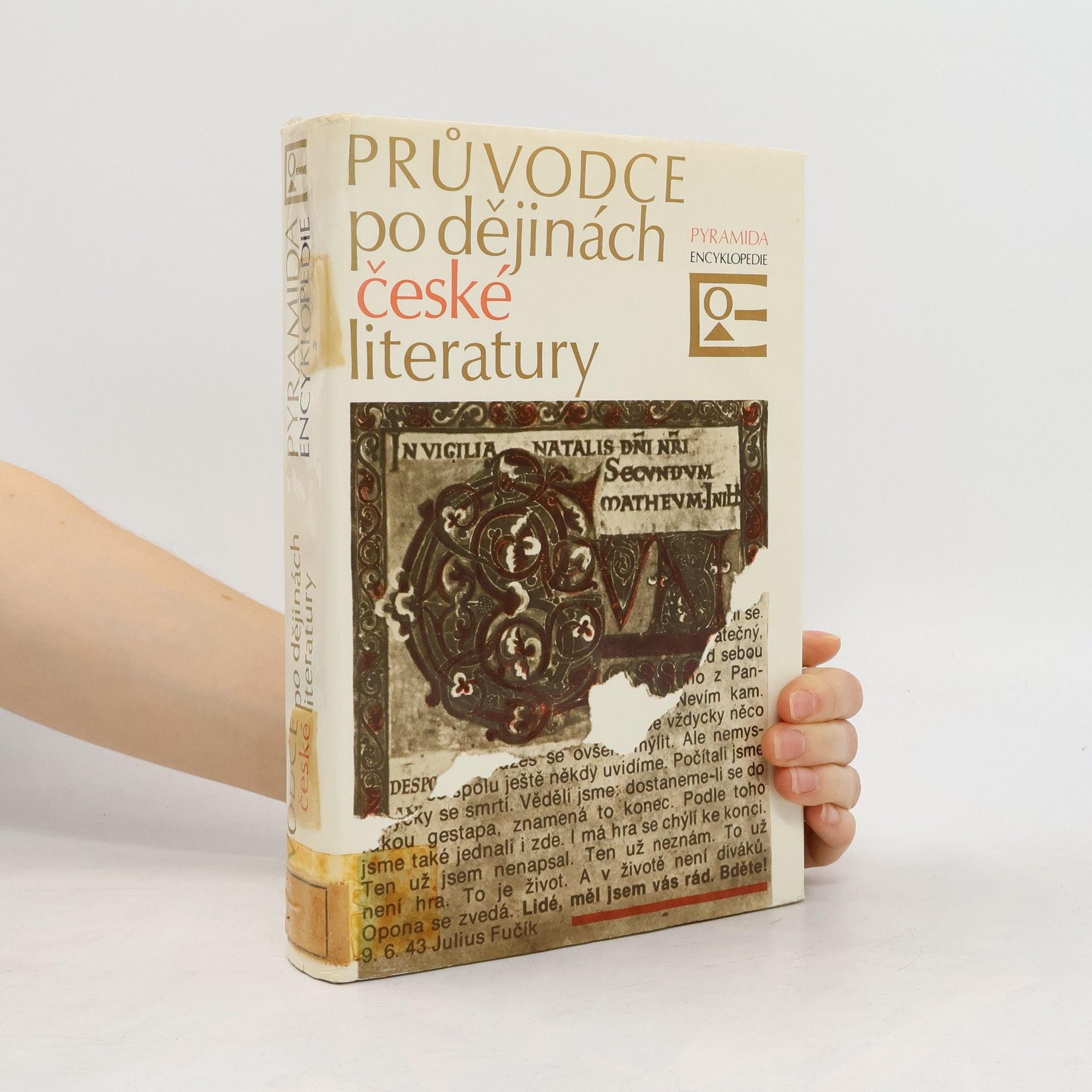 Zdeňka Tichá Průvodce po dějinách české literatury