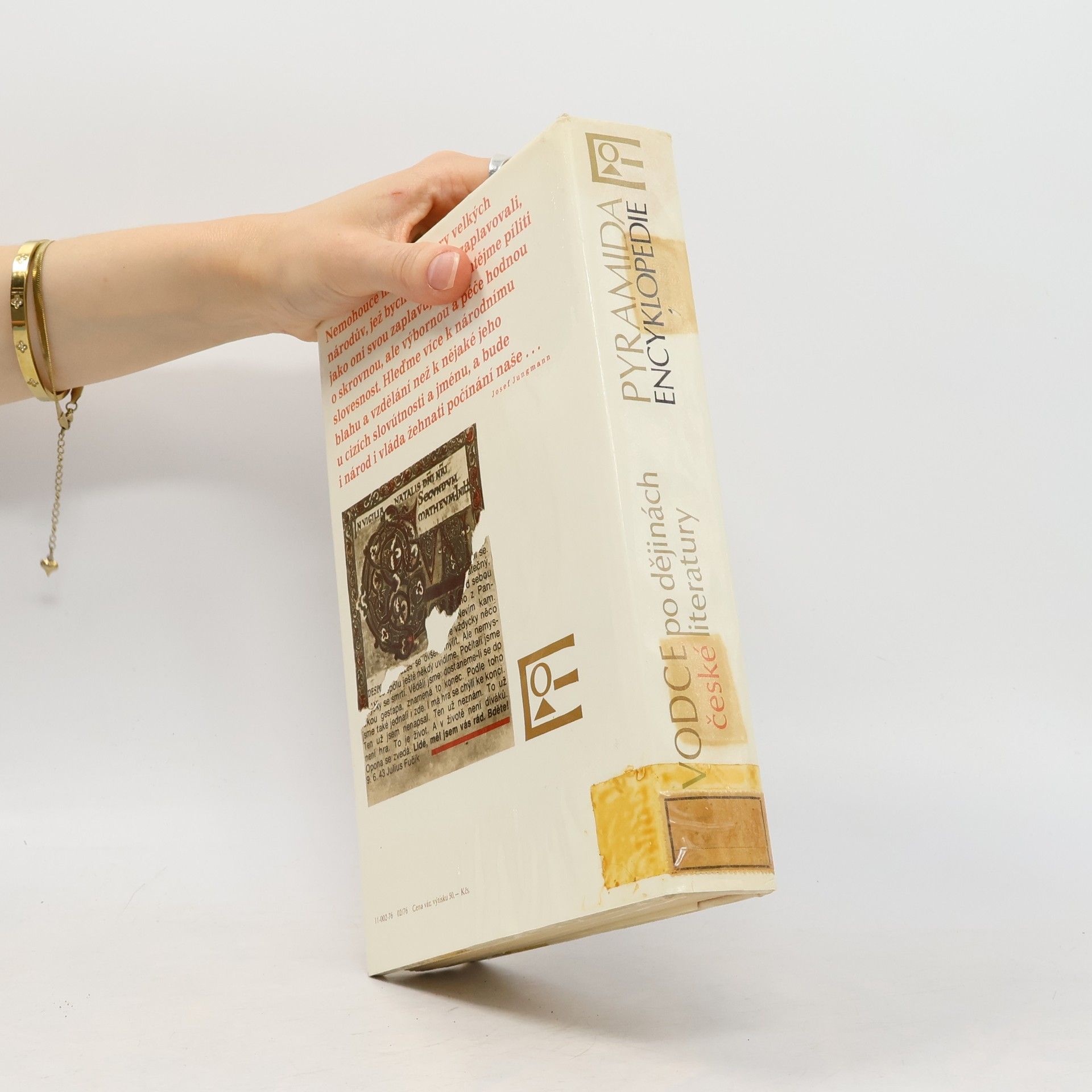 Zdeňka Tichá Průvodce po dějinách české literatury