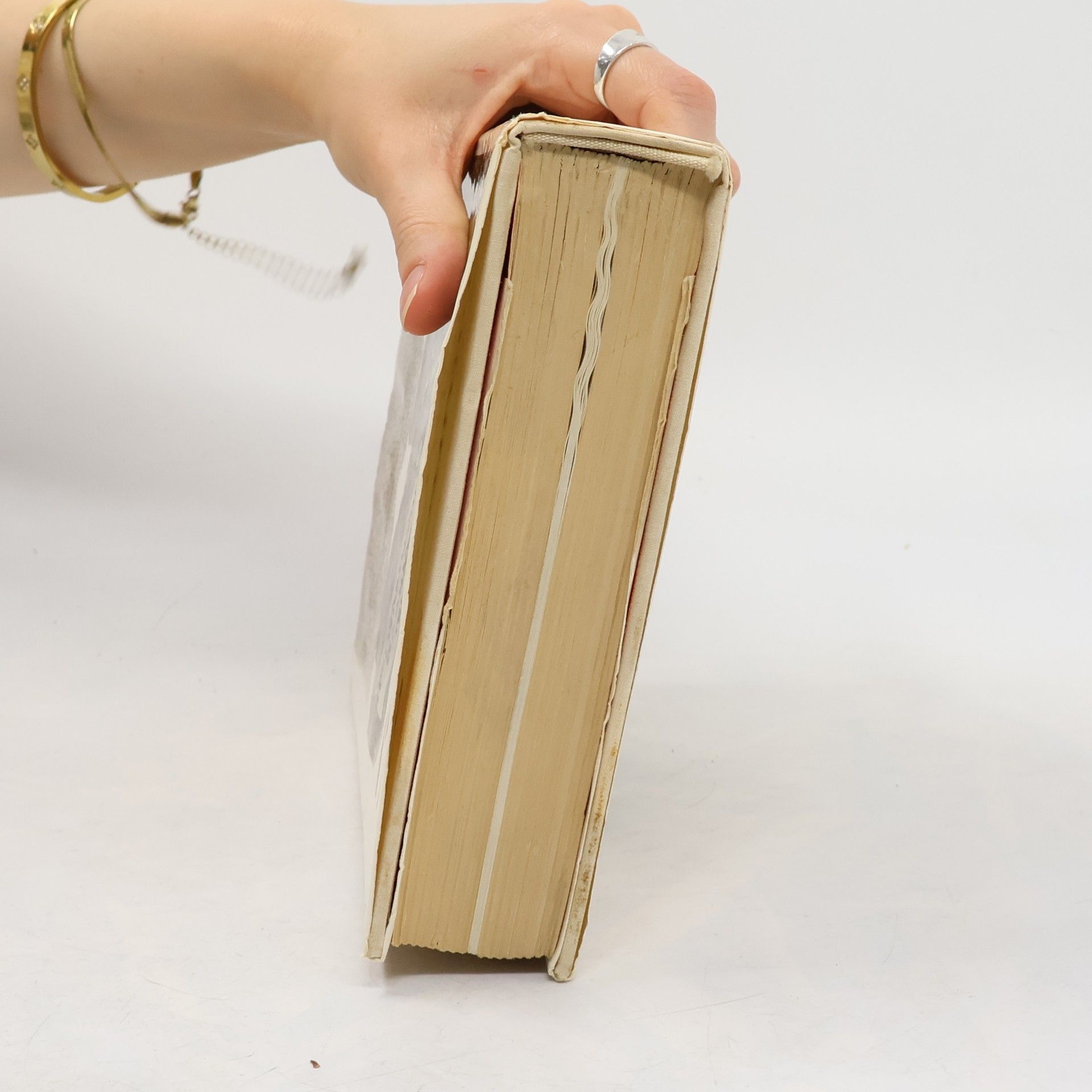Zdeňka Tichá Průvodce po dějinách české literatury