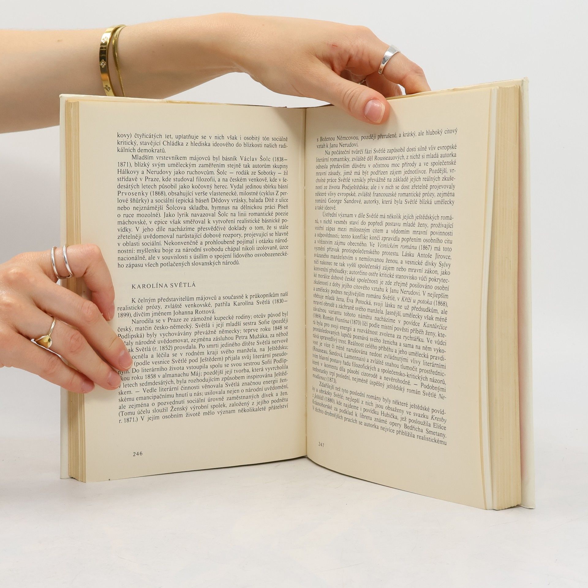 Zdeňka Tichá Průvodce po dějinách české literatury