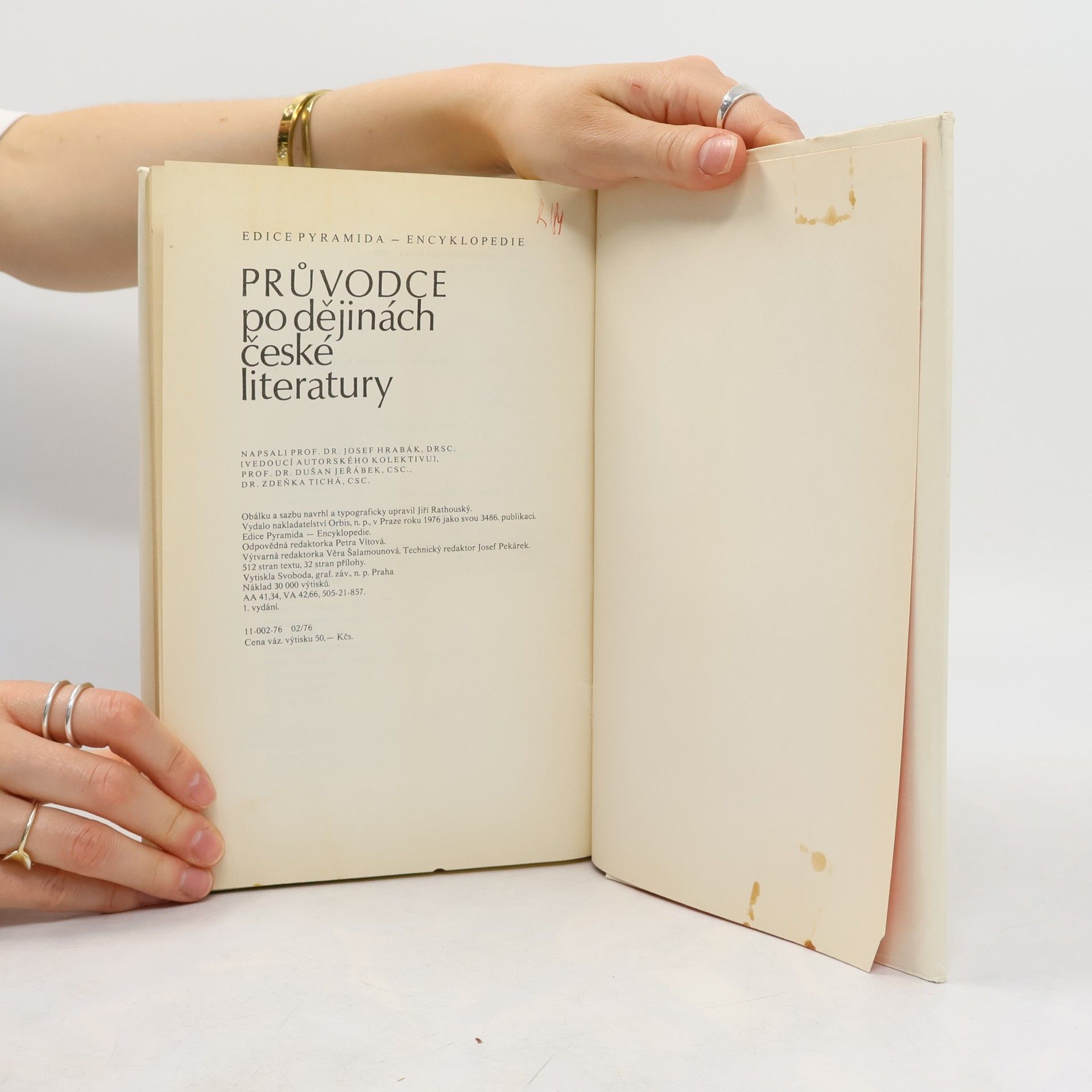Zdeňka Tichá Průvodce po dějinách české literatury
