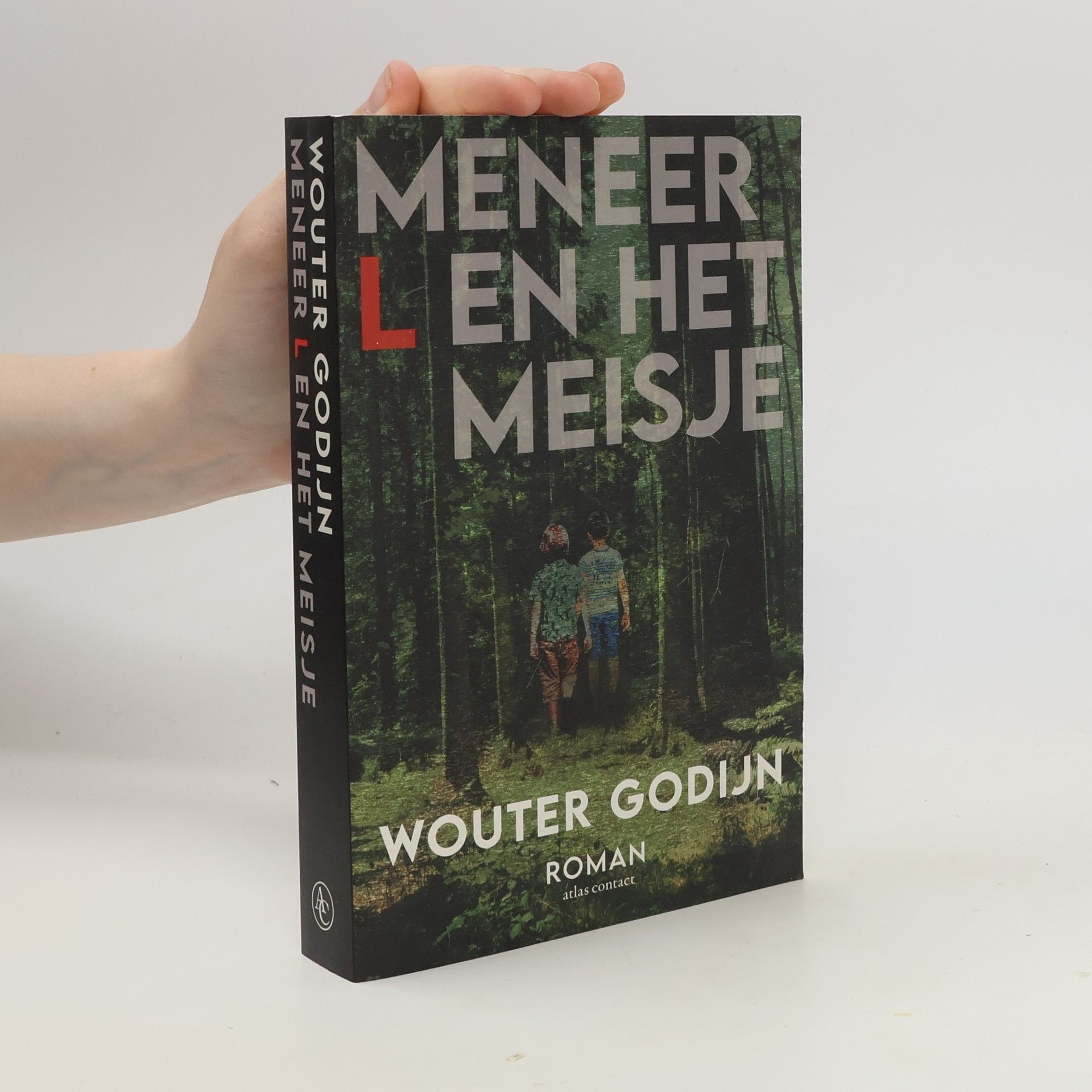 Wouter Godijn Meneer L en het meisje