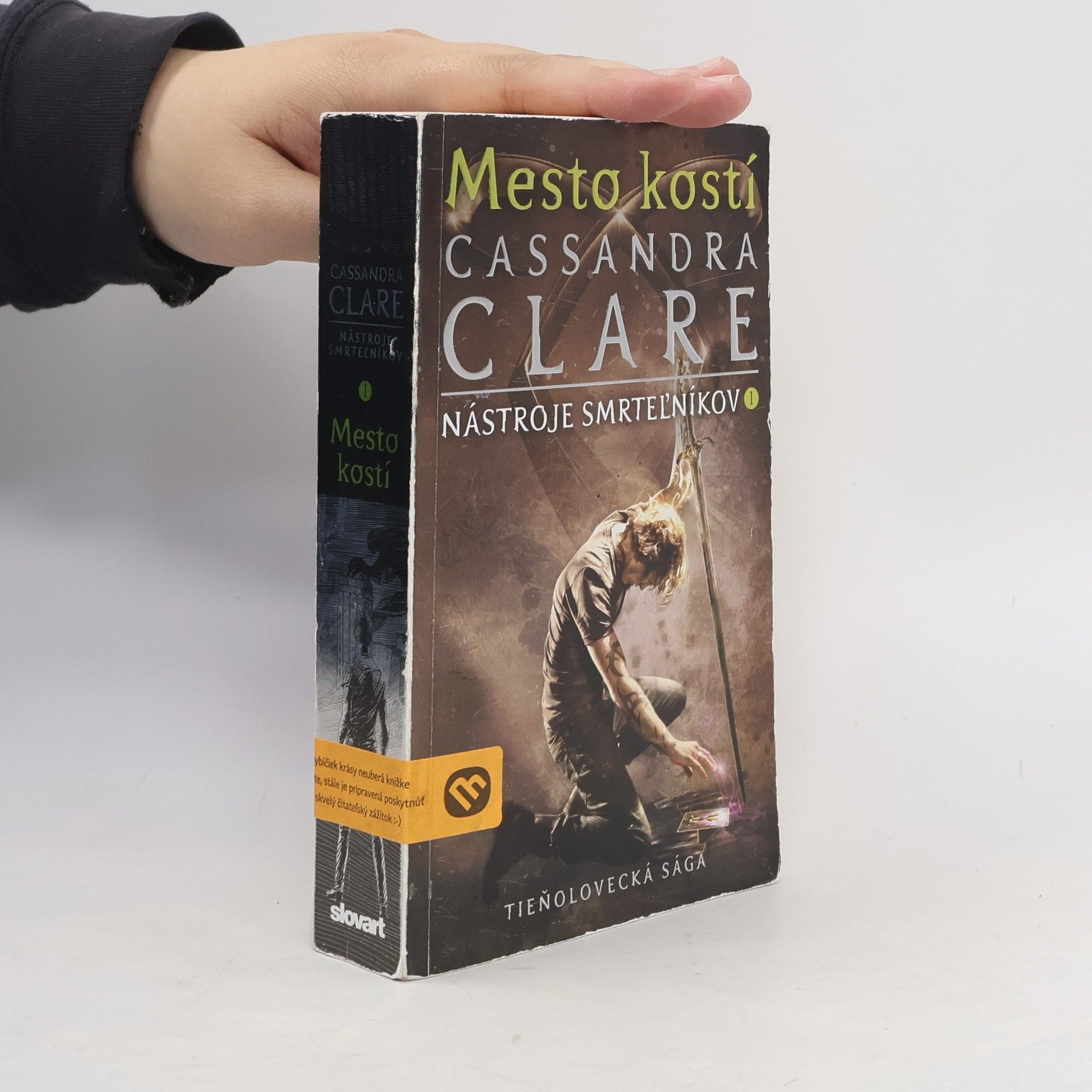 Cassandra Clare Mesto kostí
