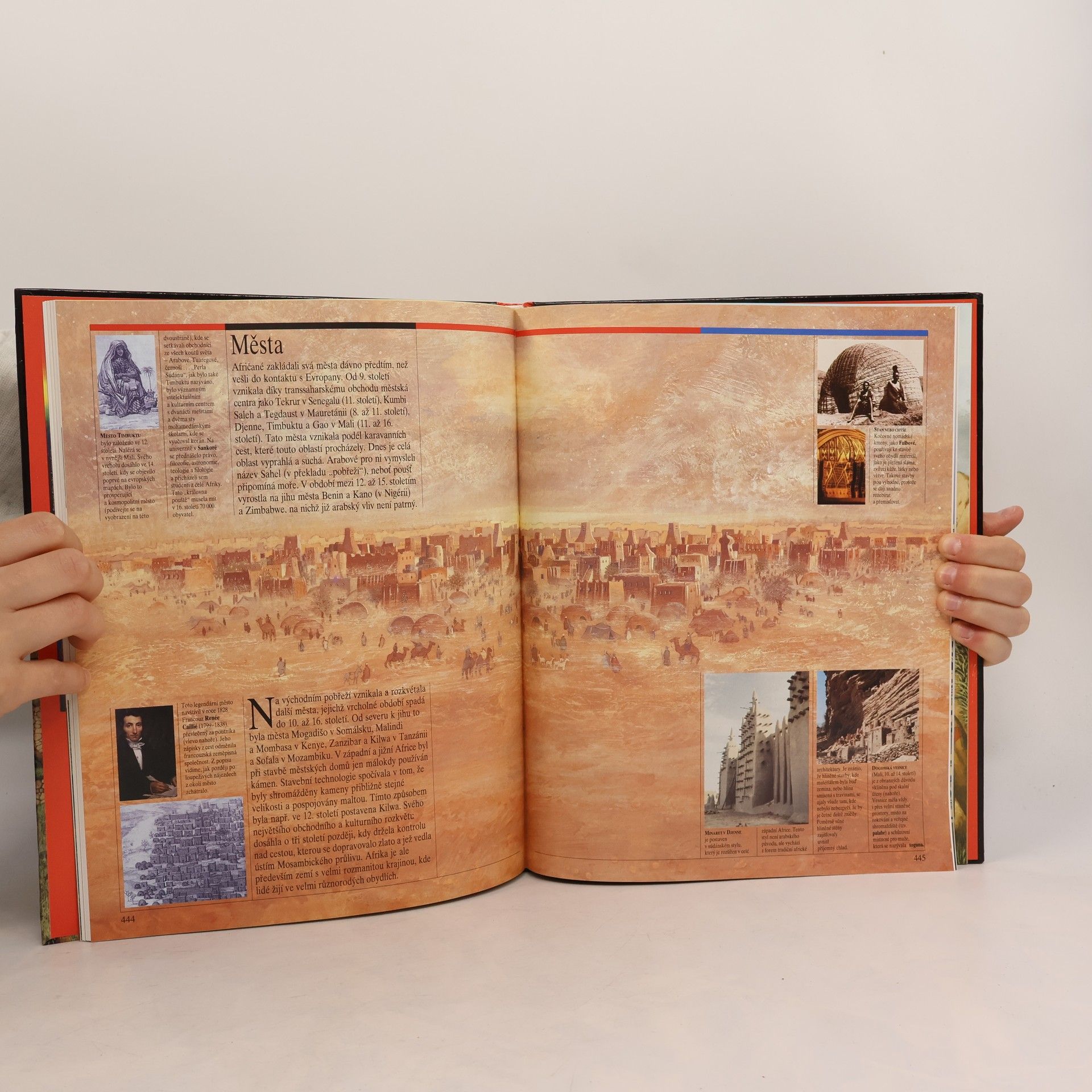 Various authors Ilustrované dějiny světa 5. Staré civilizace
