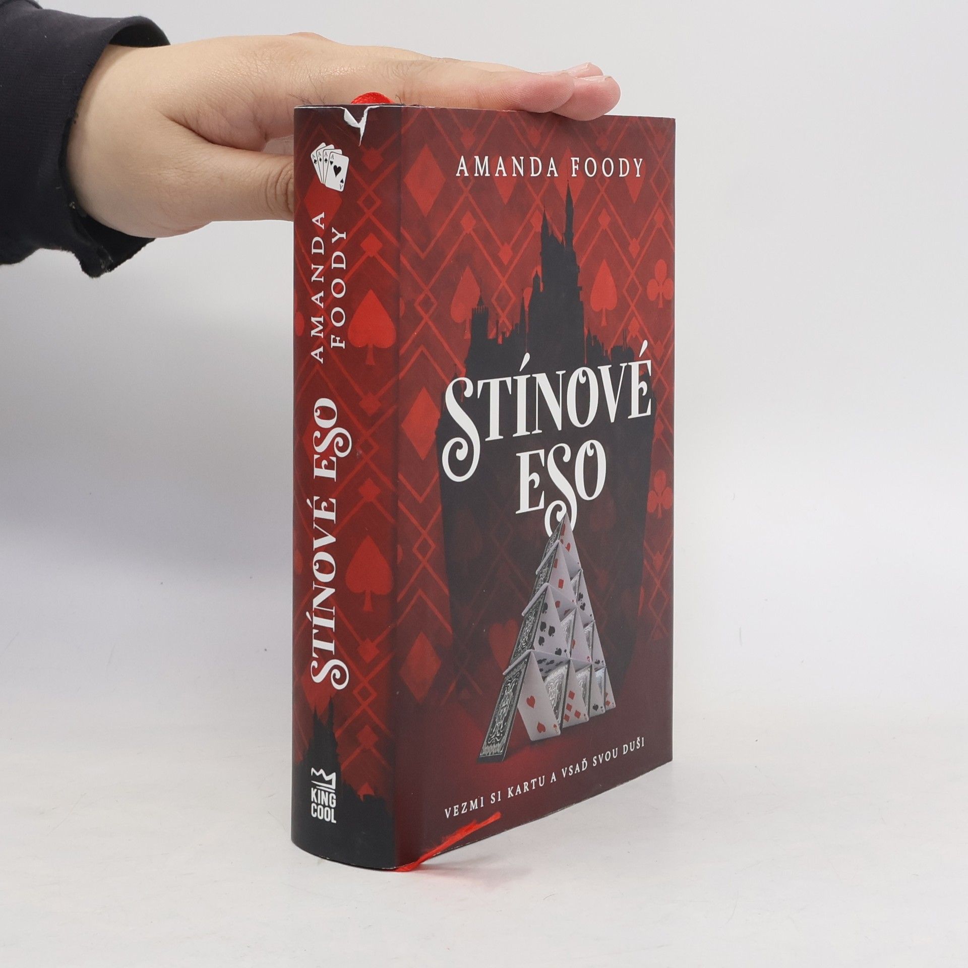 Amanda Foody Stínové eso
