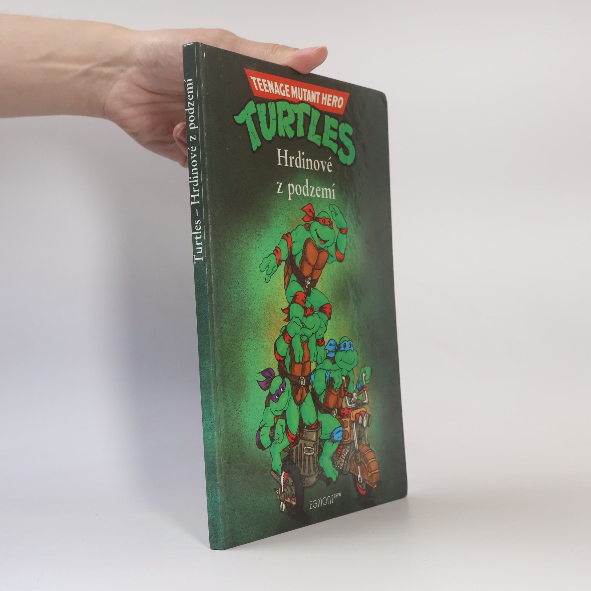 Maureen Spurgeon Teenage Mutant Ninja Turtles. Hrdinové z podzemí