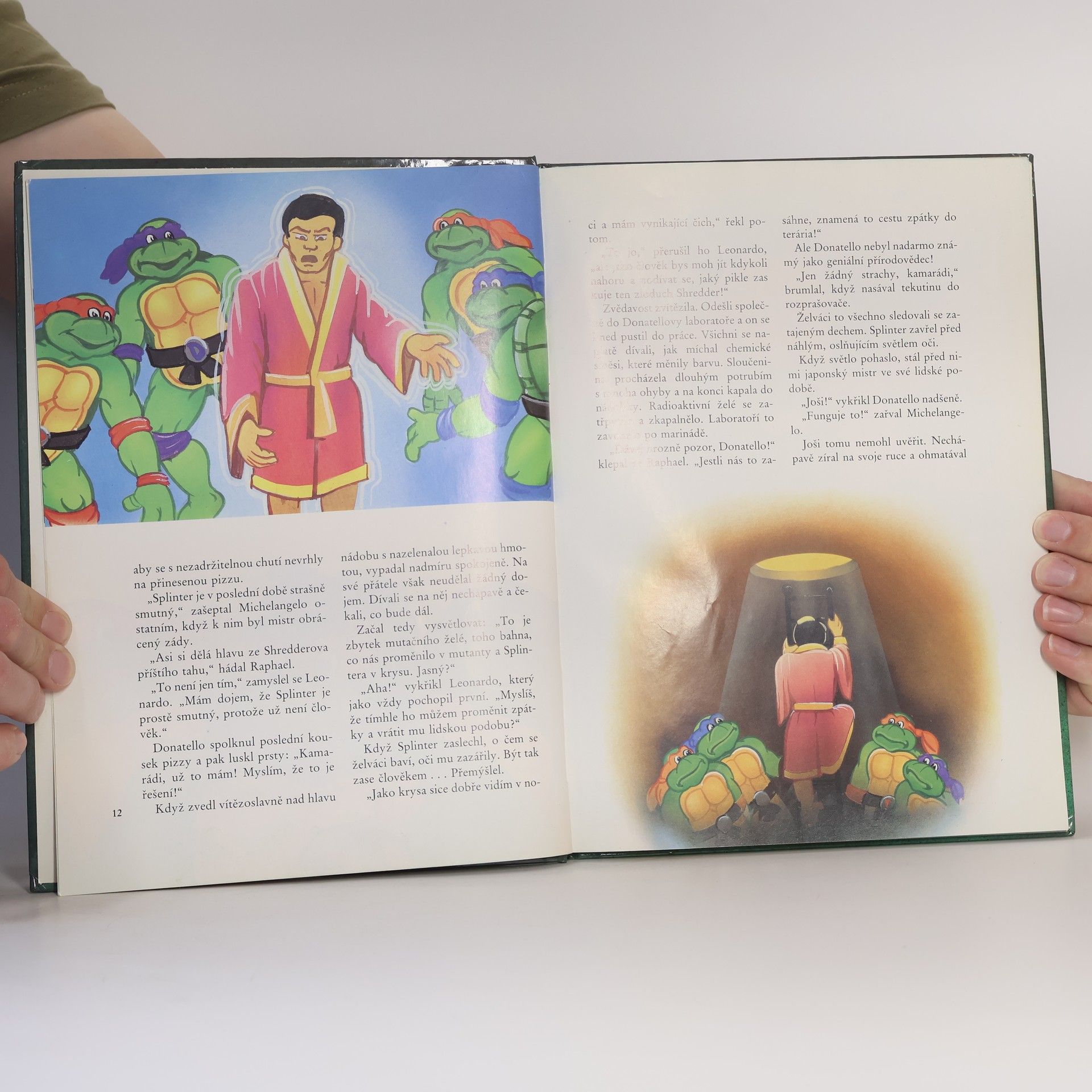 Maureen Spurgeon Teenage Mutant Ninja Turtles. Hrdinové z podzemí