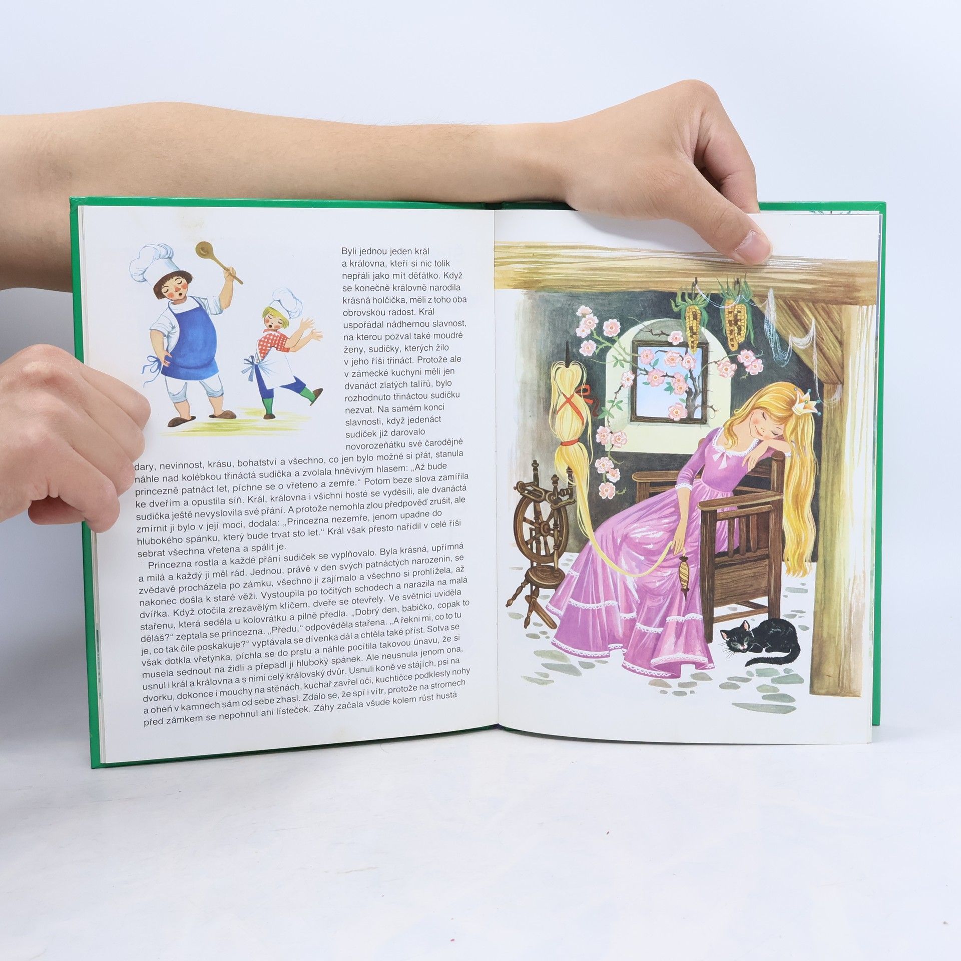 Jacob Grimm Pohádky bratří Grimmů