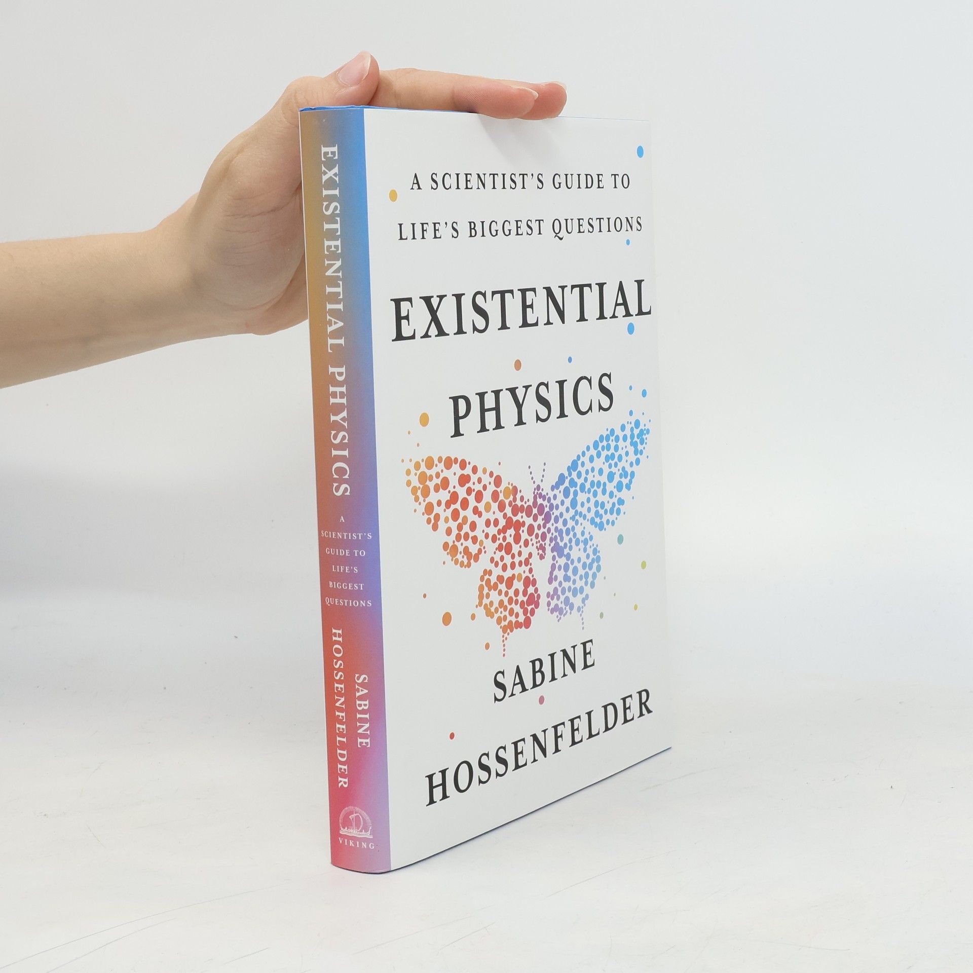 Sabine Hossenfelder Existential Physics