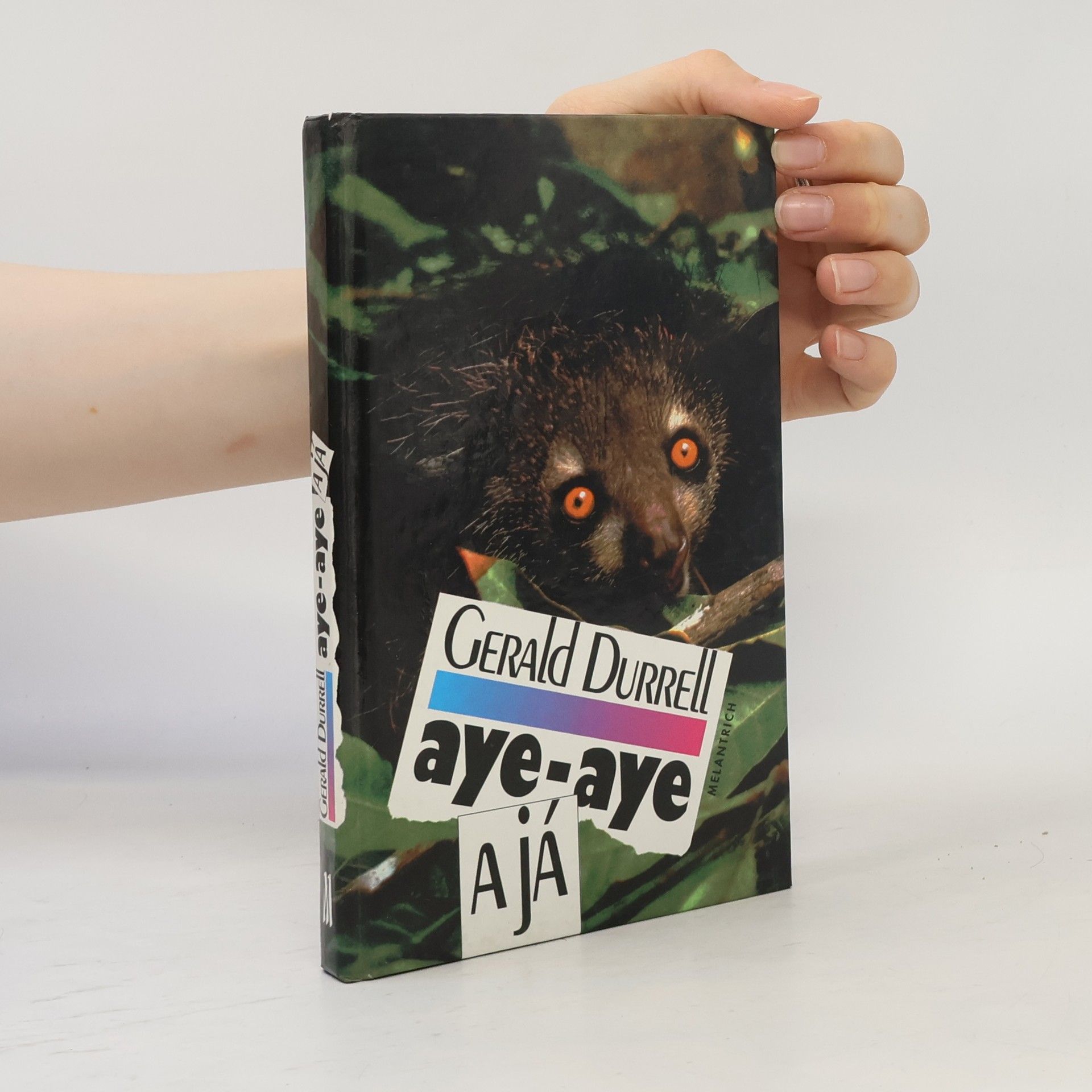 Aye-Aye a já