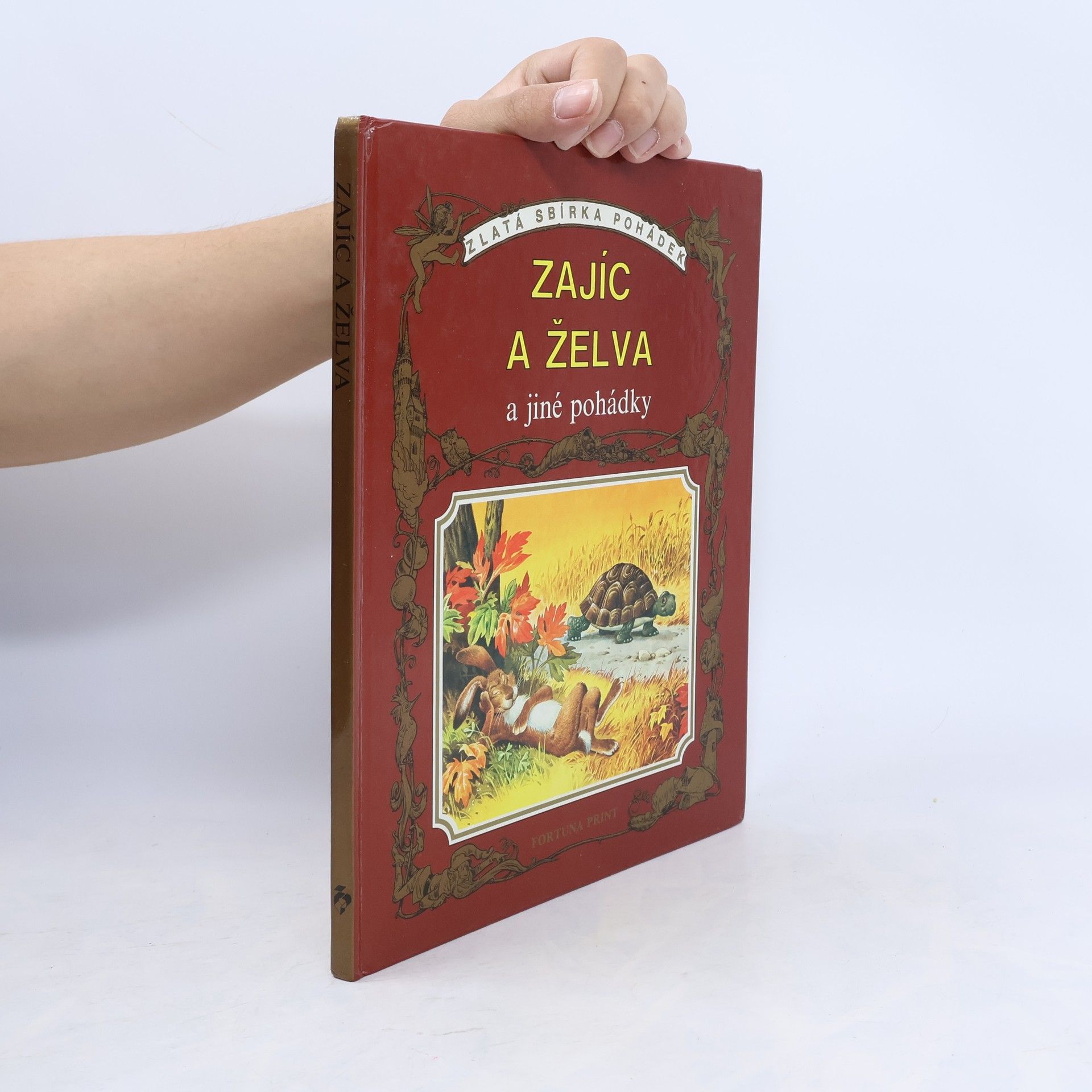Autorenkollektiv Zajíc a želva a jiné pohádky