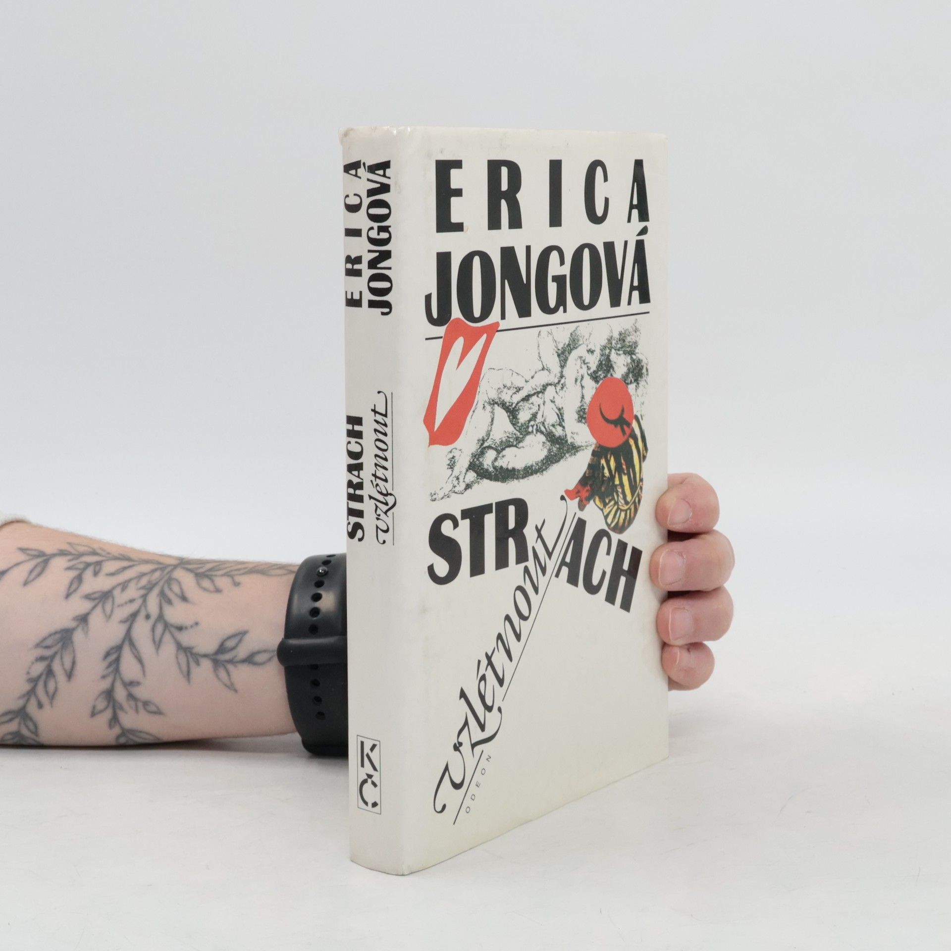 Erica Jong Strach vzlétnout