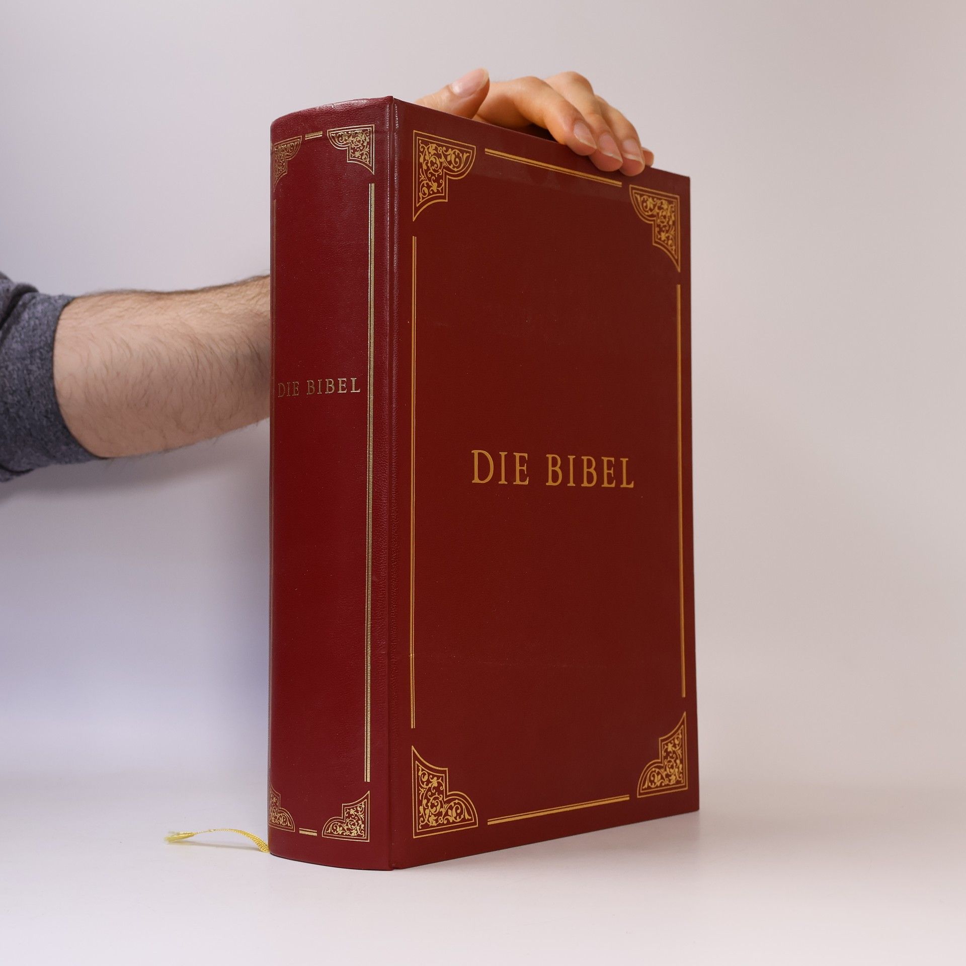 AA.VV. Die Bibel