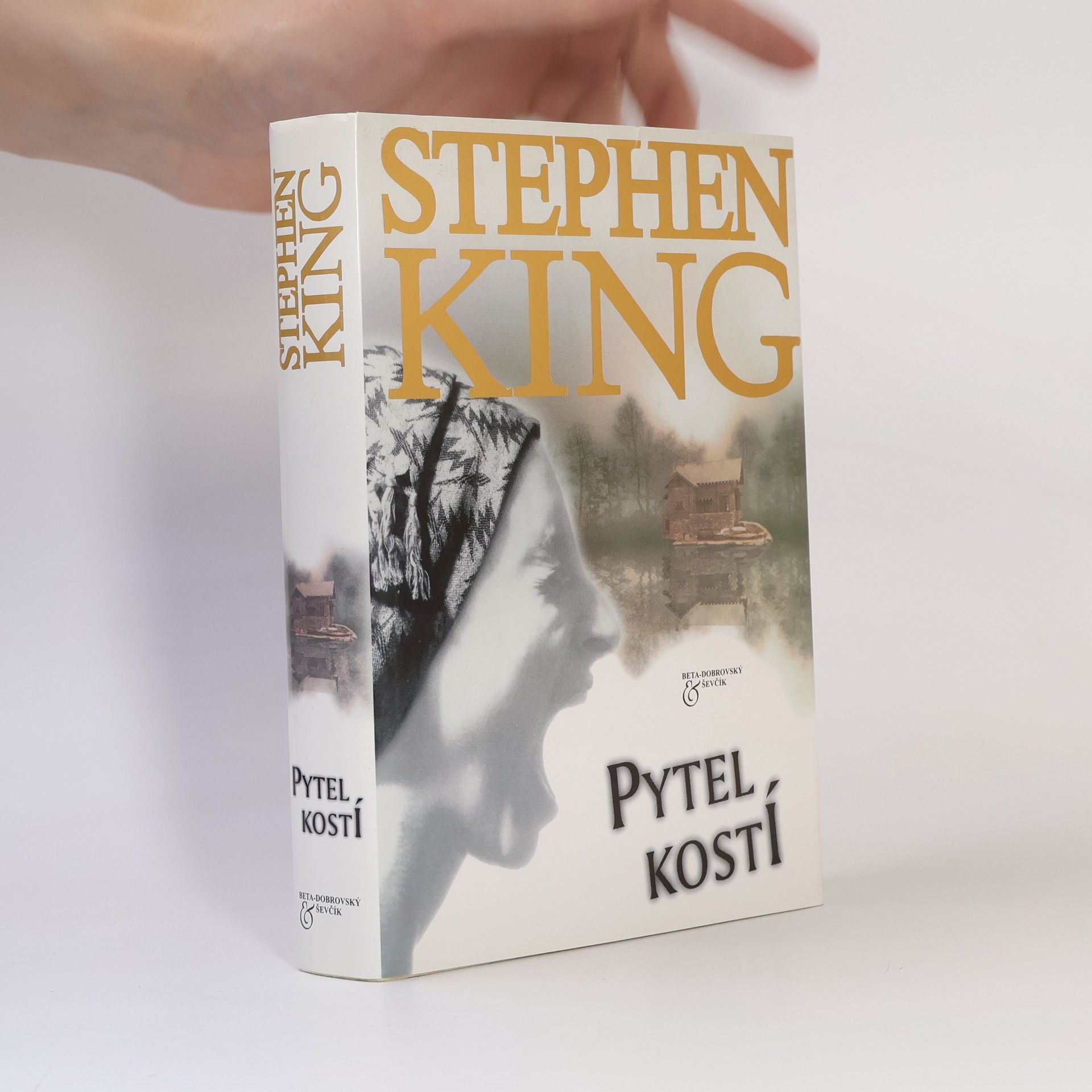 Stephen King Pytel kostí