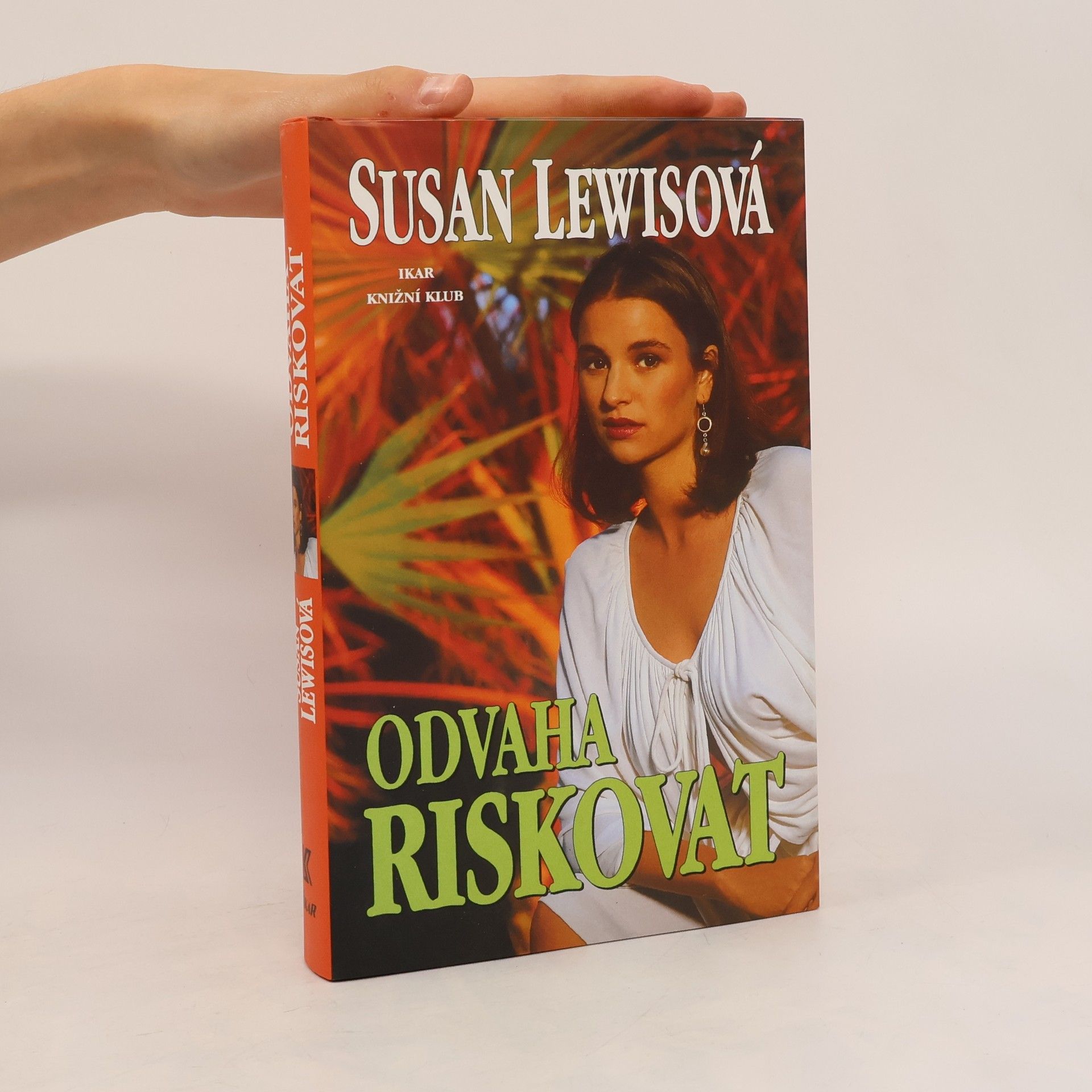 Susan Lewis Honba za sny