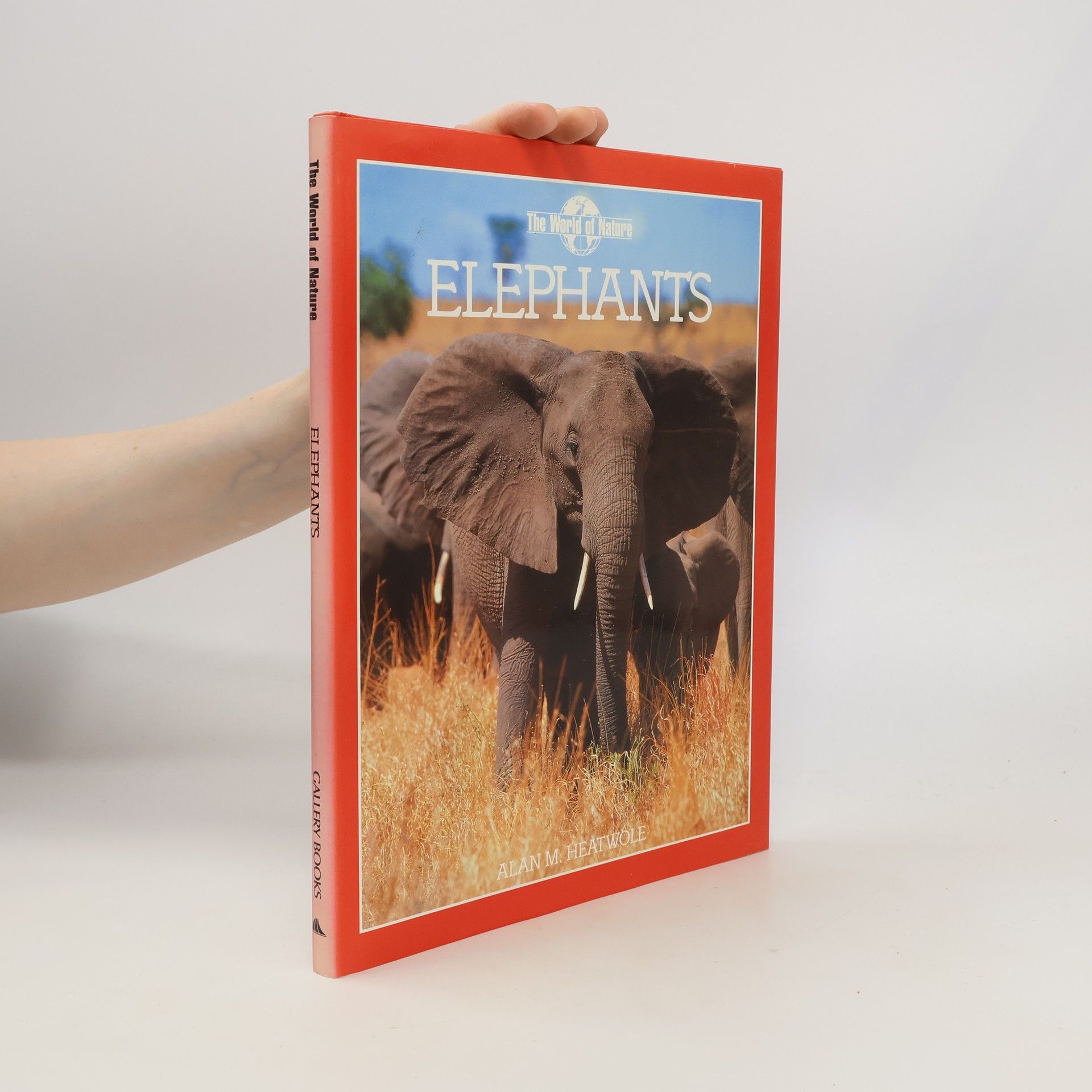 Alan M. Heatwole Elephants