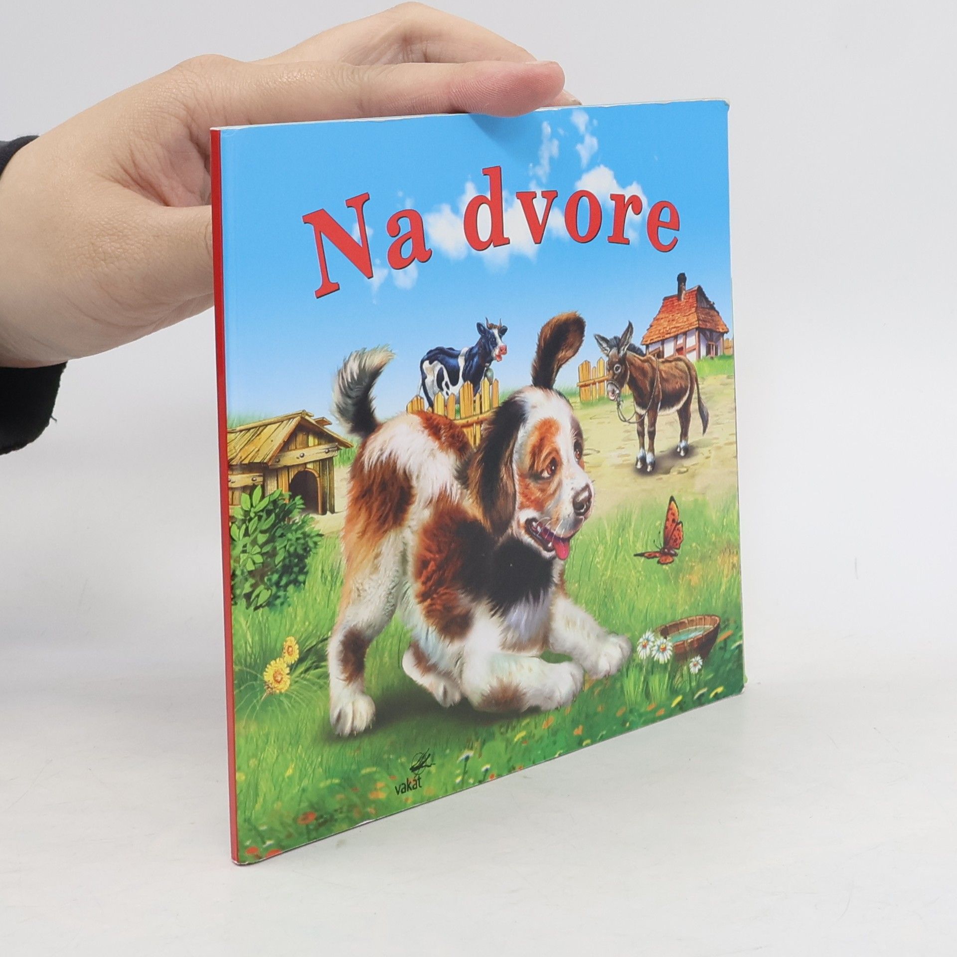 Na dvore