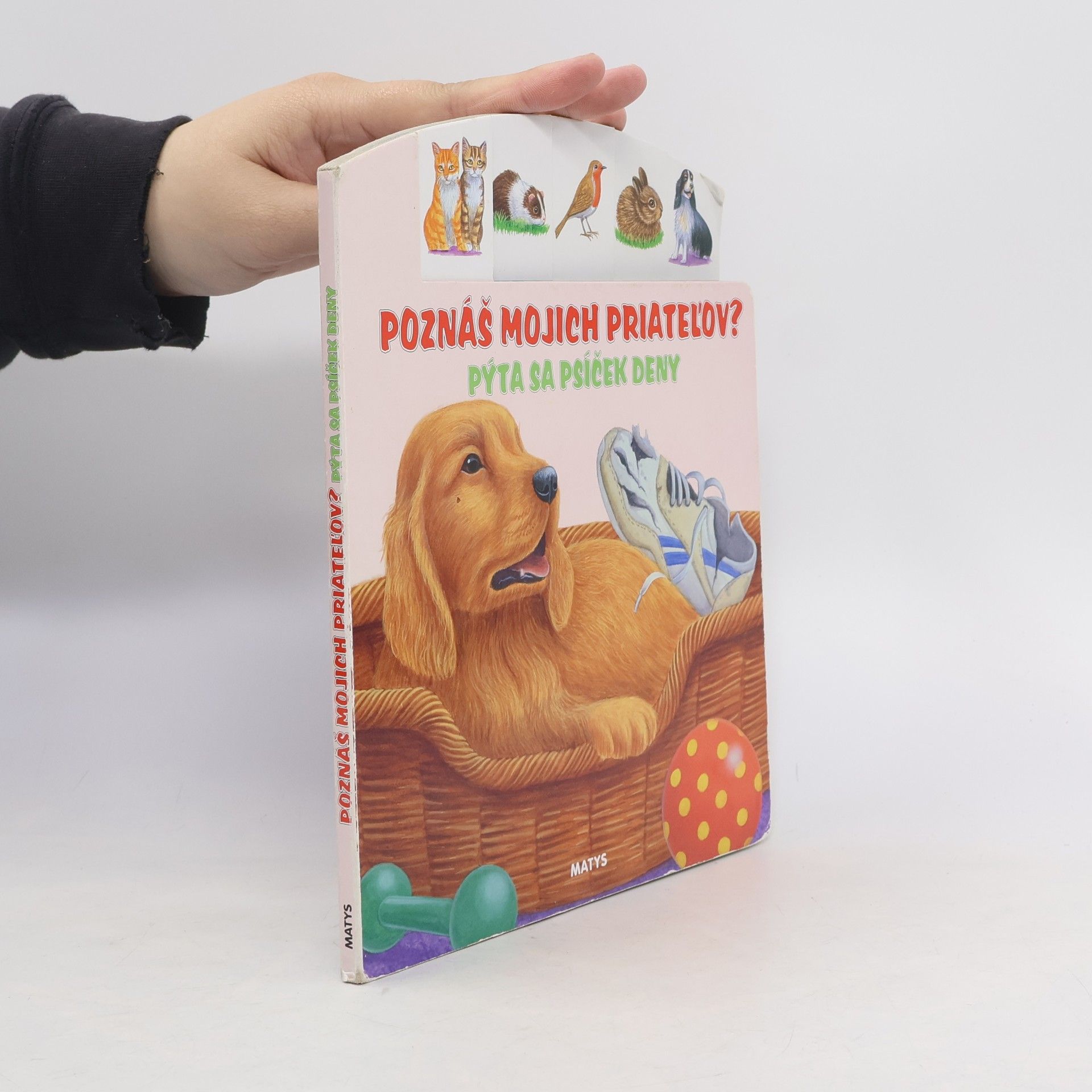 Autorenkollektiv Poznáš mojich priatelov? Pýta sa psíček Deny
