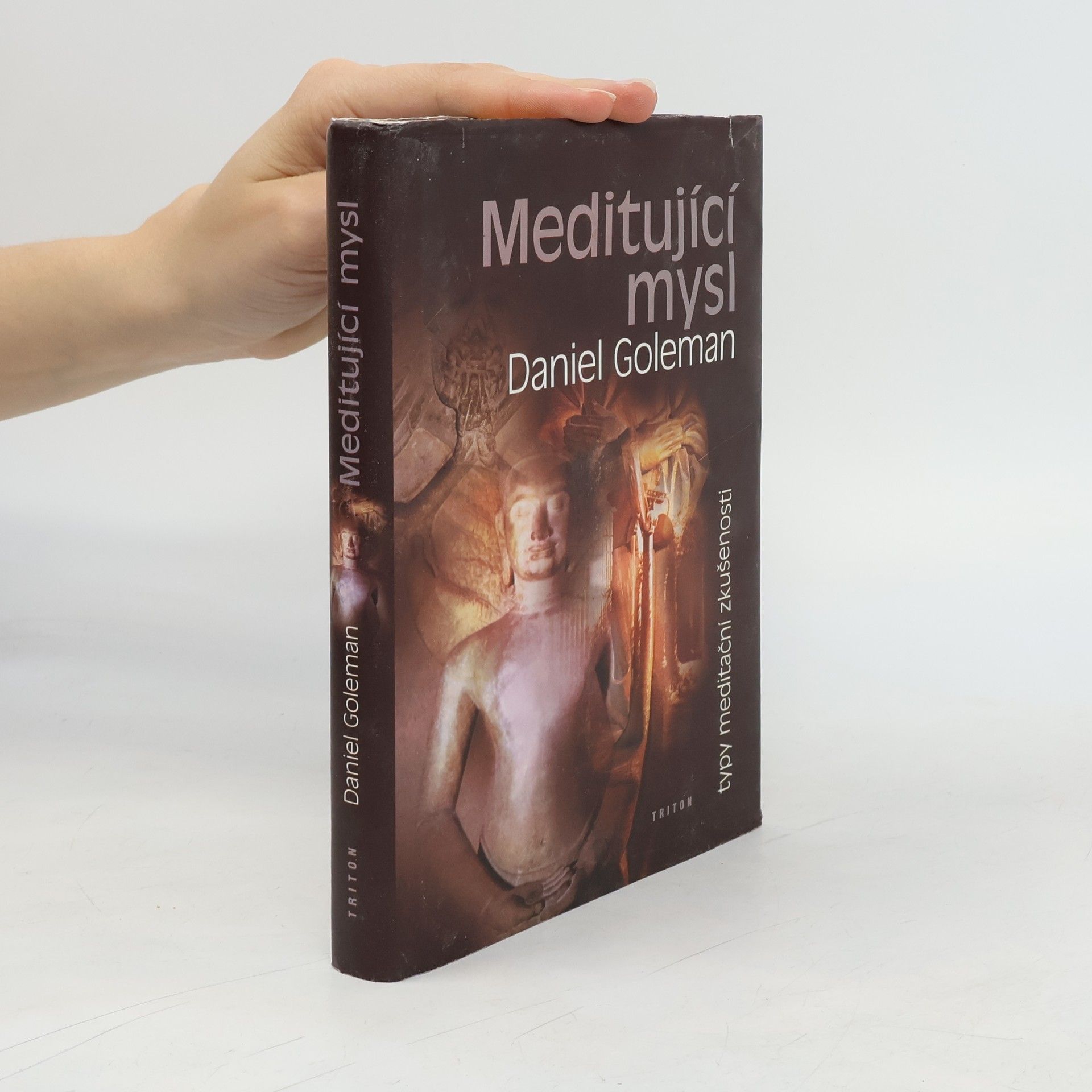 Meditující mysl : typy meditační zkušenosti
