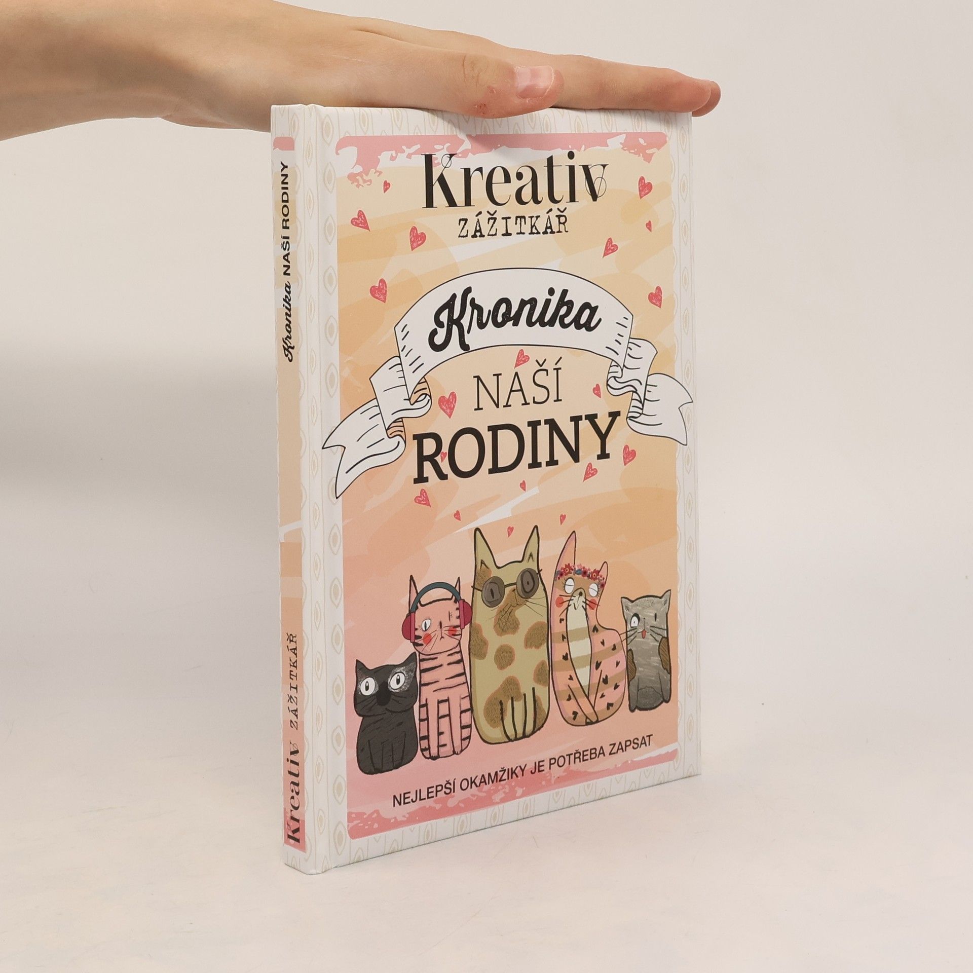 Autorenkollektiv Kronika naší rodiny