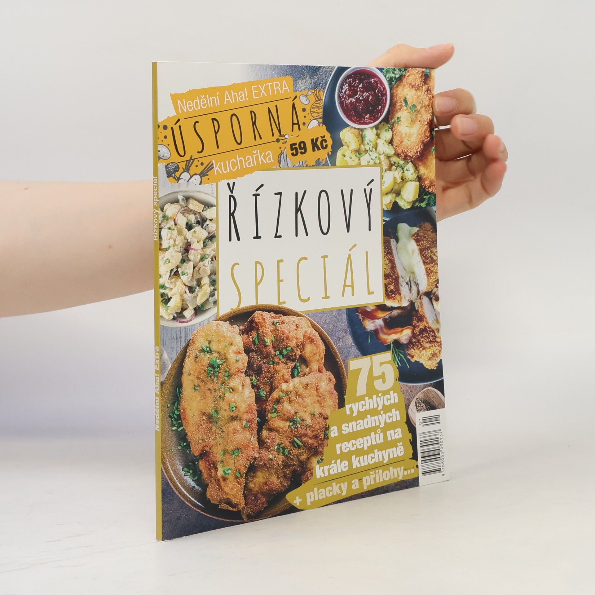 Autorenkollektiv Řízkový speciál