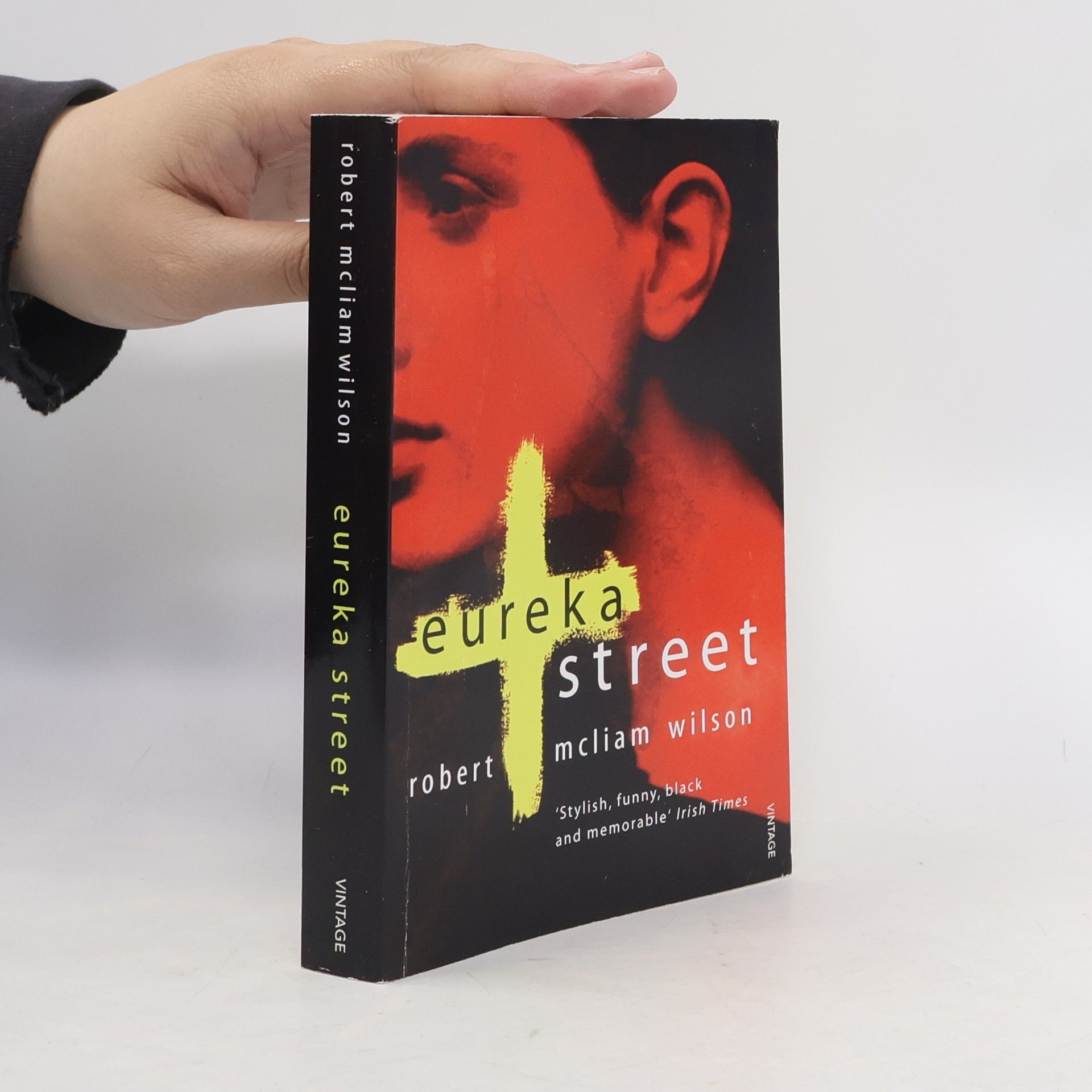 Robert McLiam Wilson Eureka Street