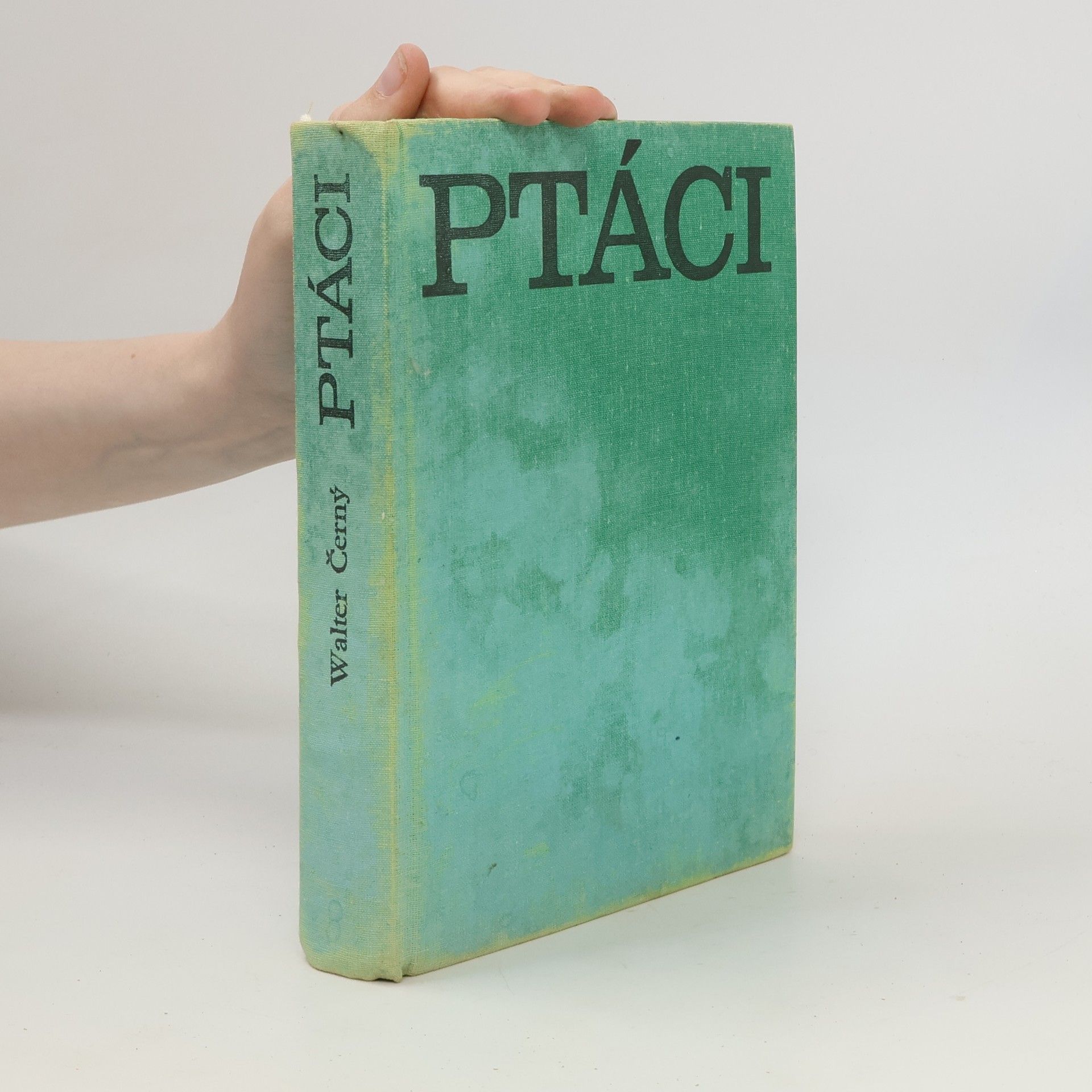Walter Černý Ptáci