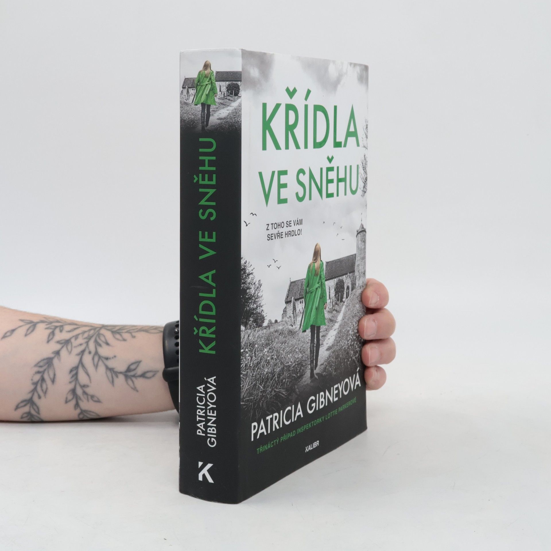 Patricia Gibney Křídla ve sněhu