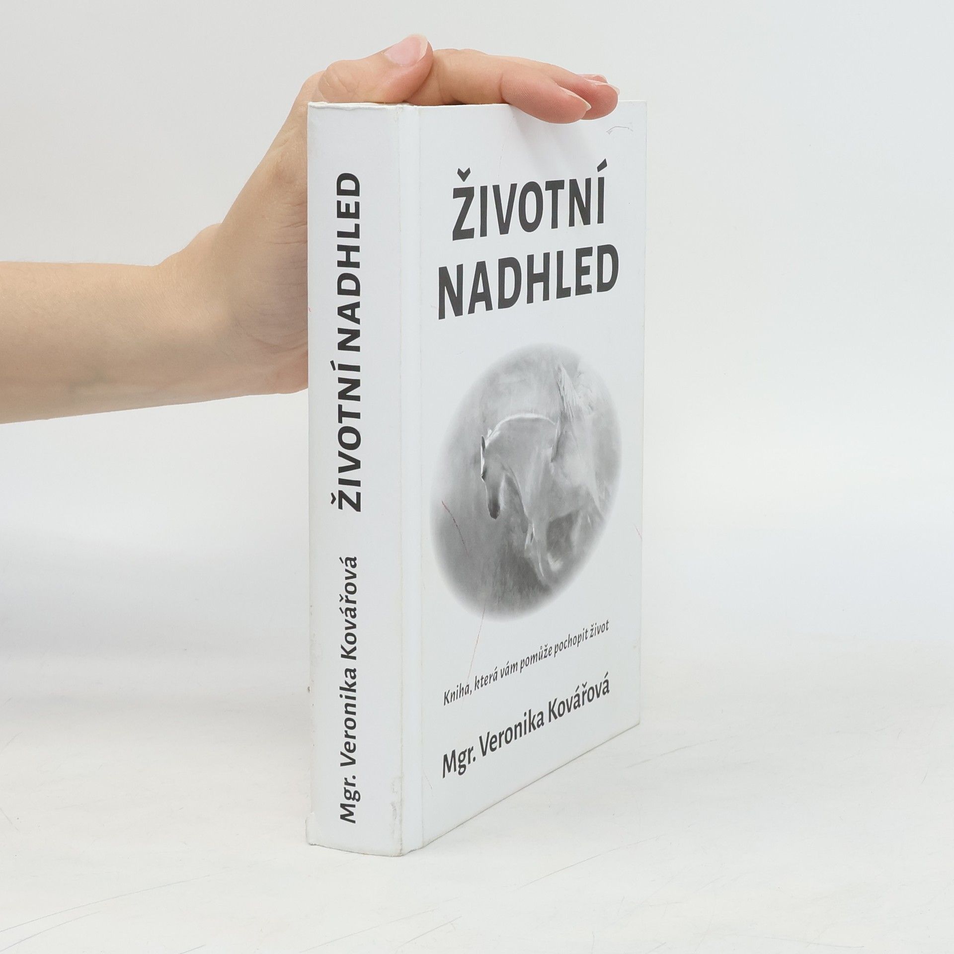 Životní nadhled. Kniha, která Vám pomůže pochopit život