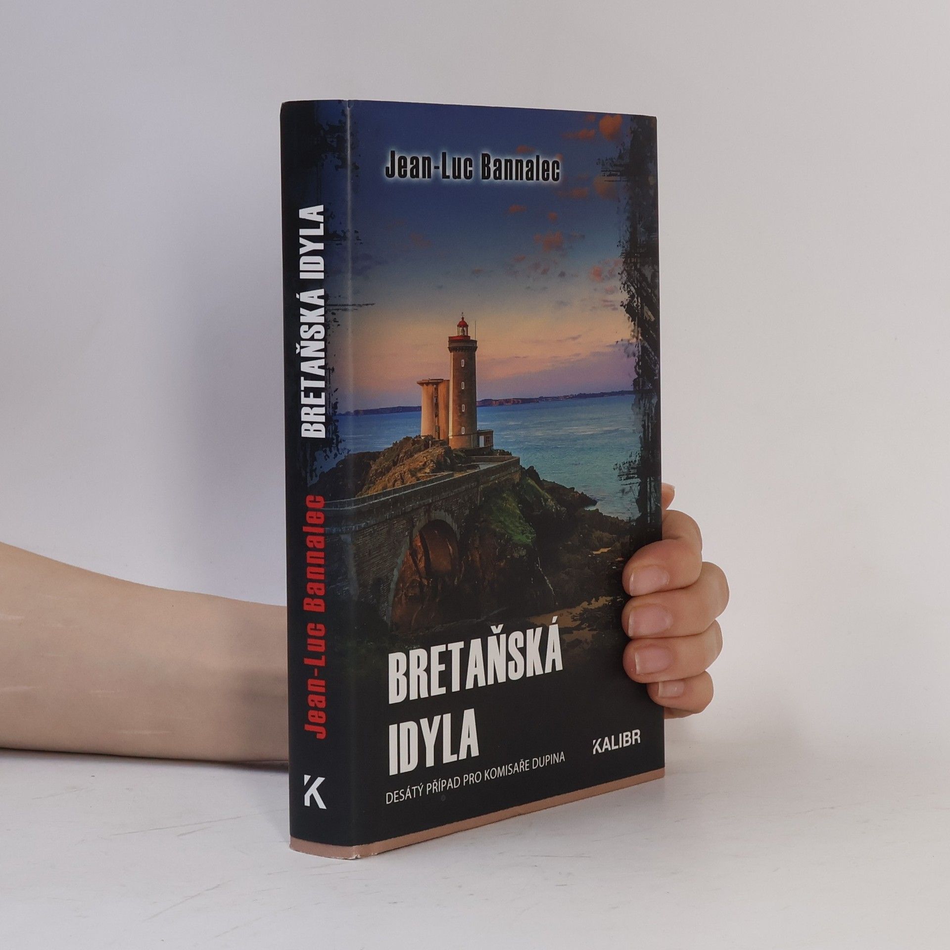 Jörg Bong Bretaňská idyla : desátý případ pro komisaře Dupina