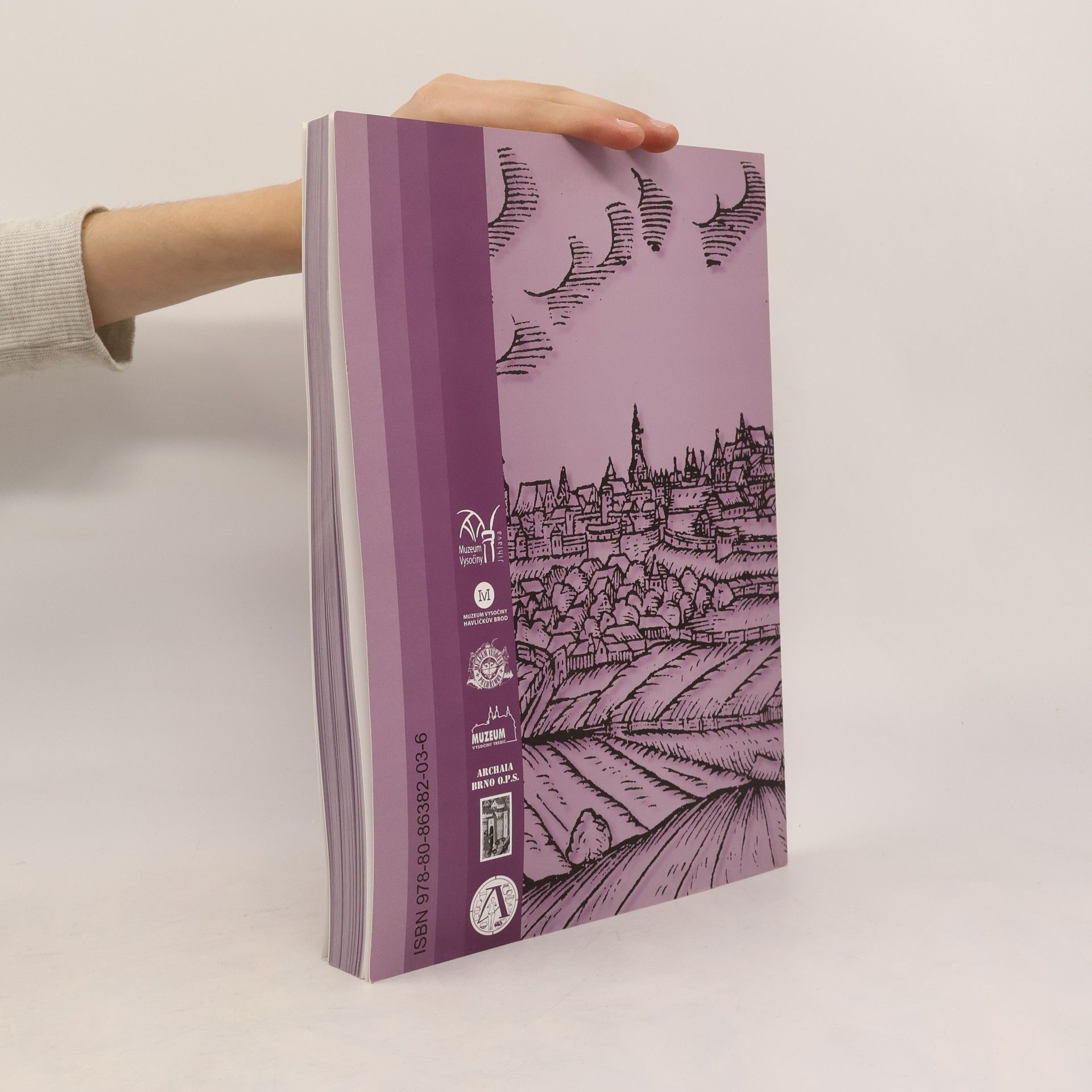 Autorenkollektiv Vlastivědný sborník Vysočiny XII. 2000