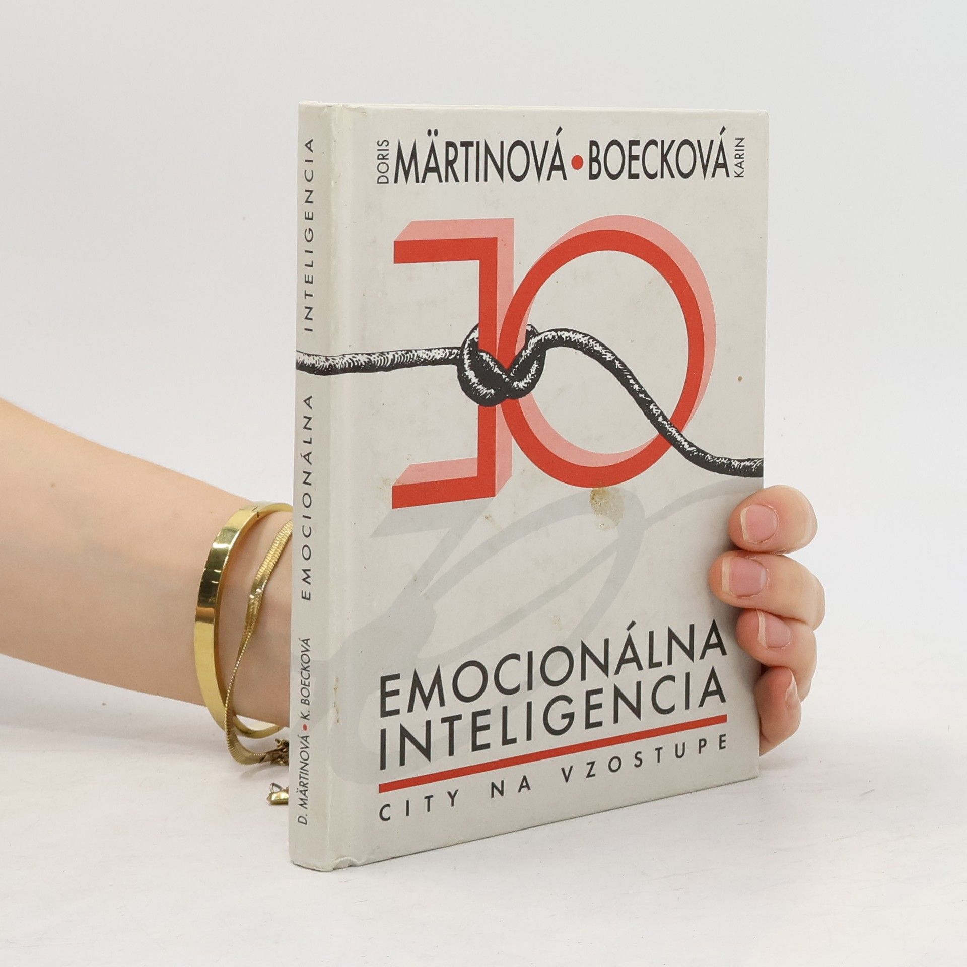 Karin Boeck Emocionálna inteligencia – City na vzostupe