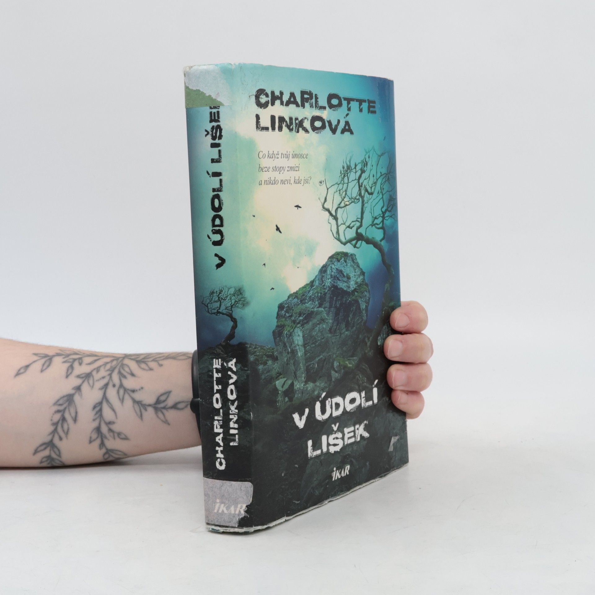 Charlotte Link V údolí lišek