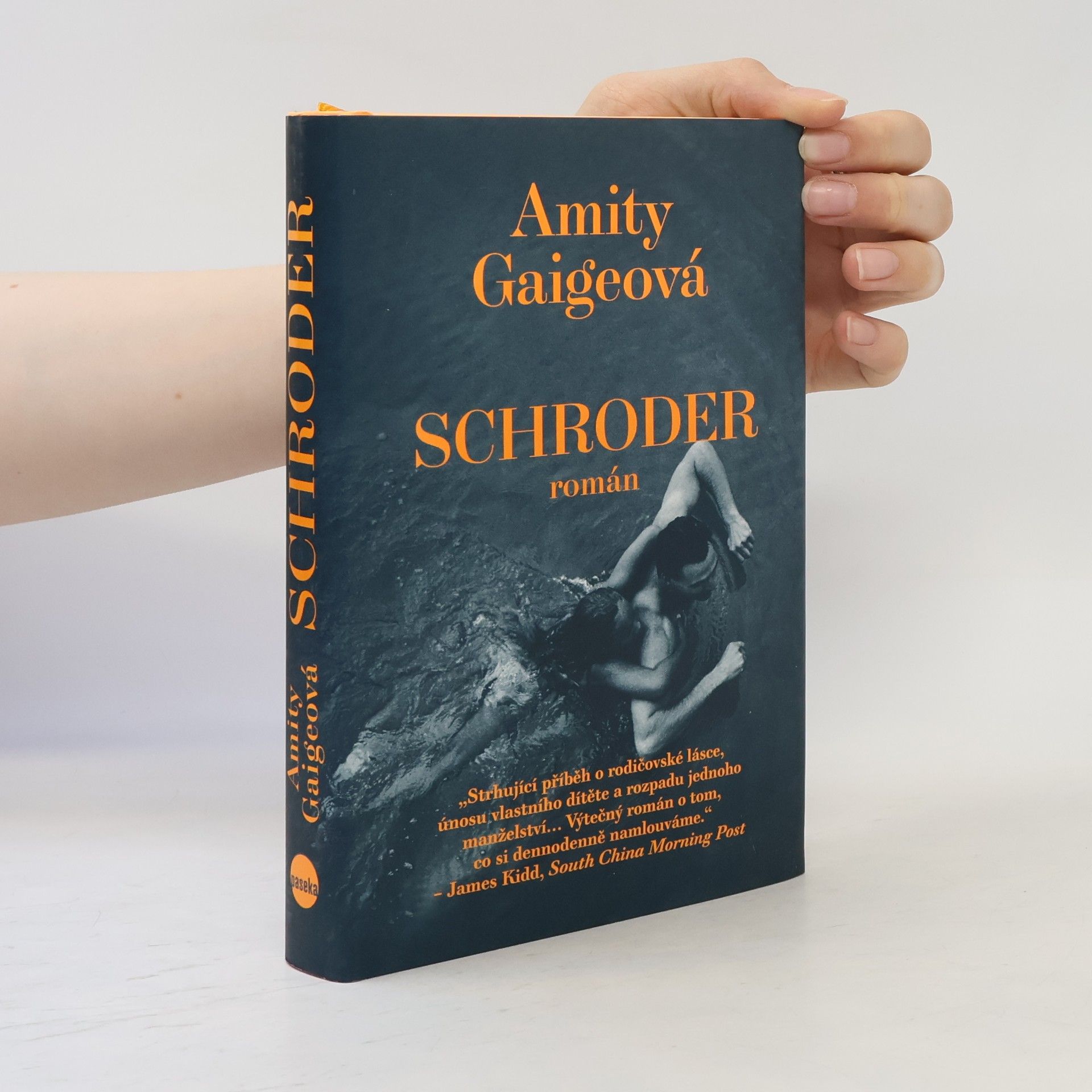 Amity Gaige Schroder