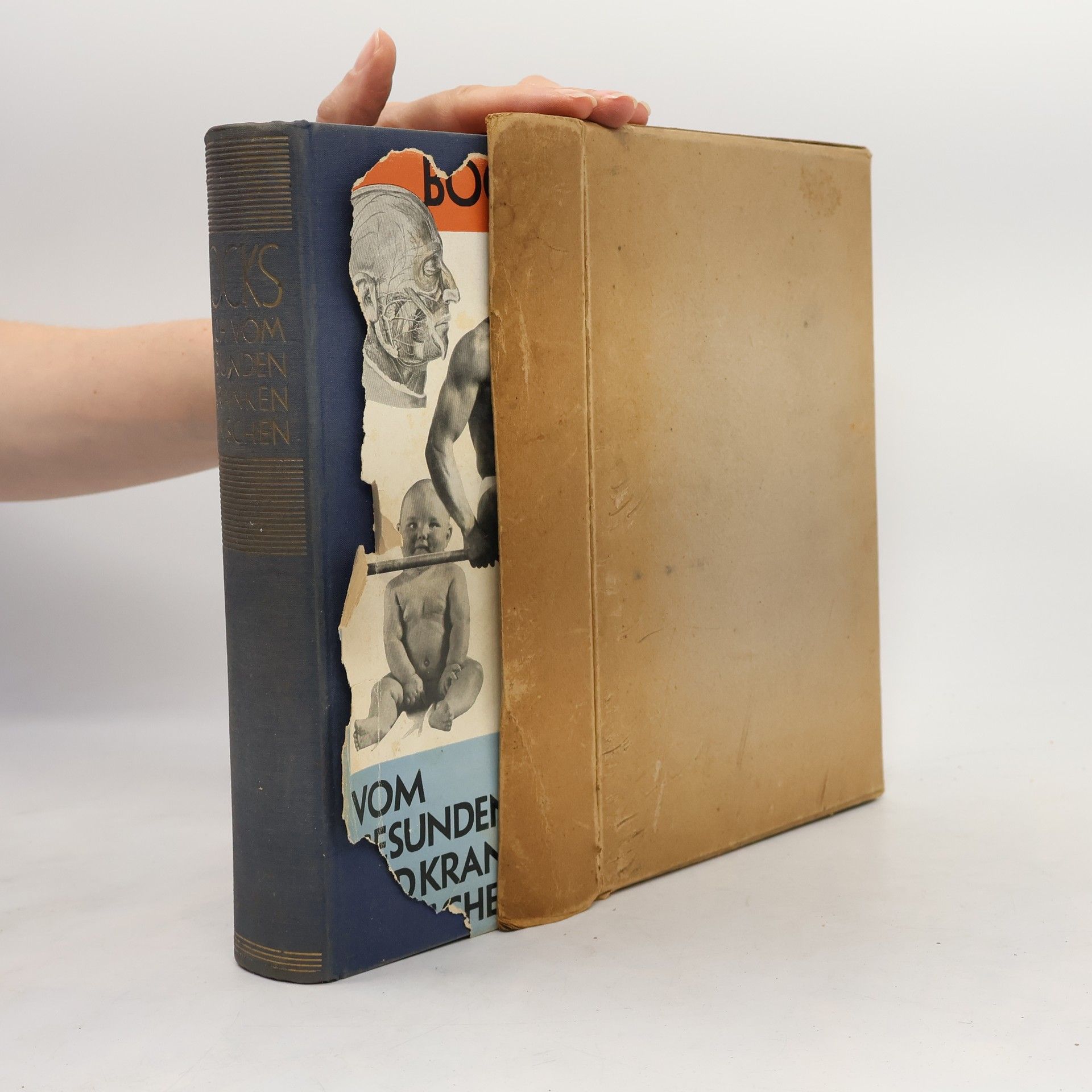 Carl Ernst Bock Das Buch vom gesunden und kranken Menschen