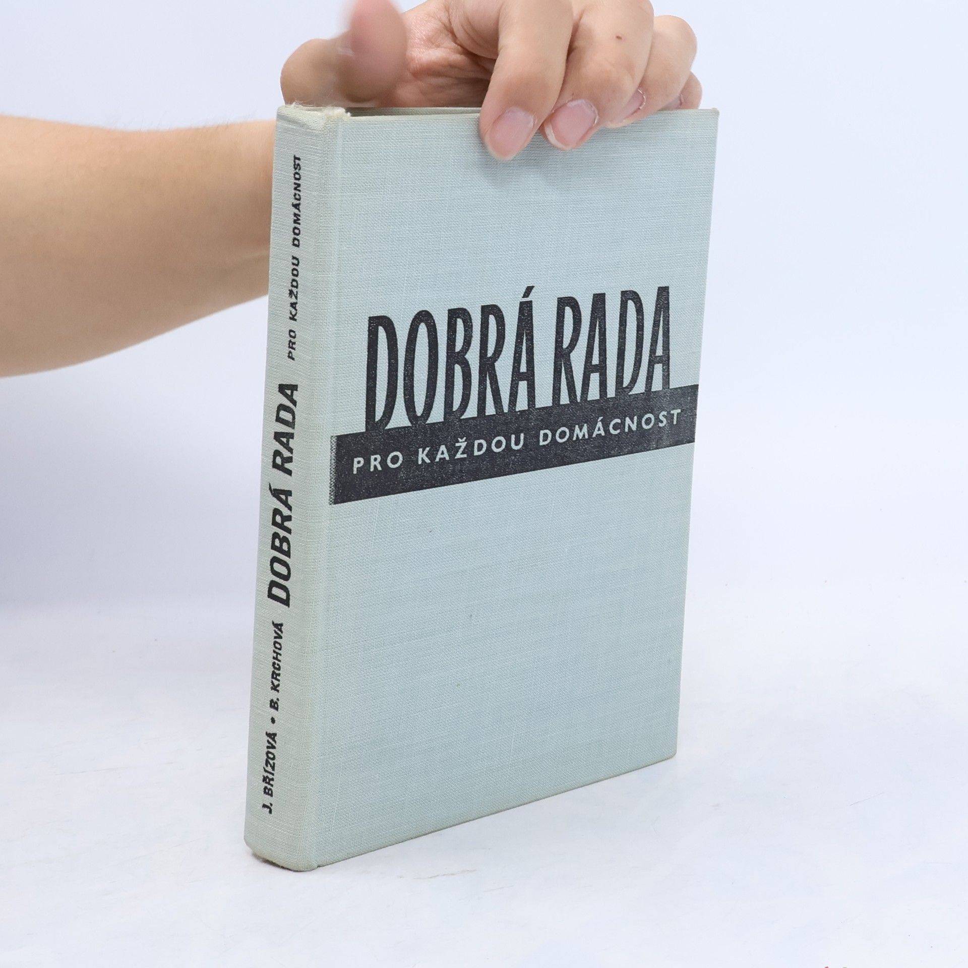 Joza Břízová Dobrá rada pro každou domácnost