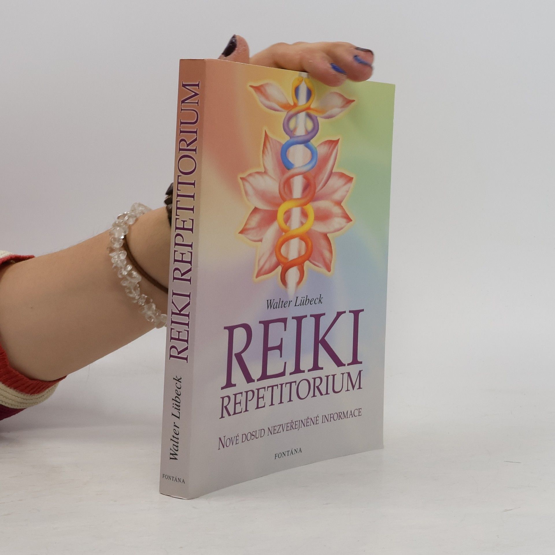 Walter Lübeck Repetitorium reiki