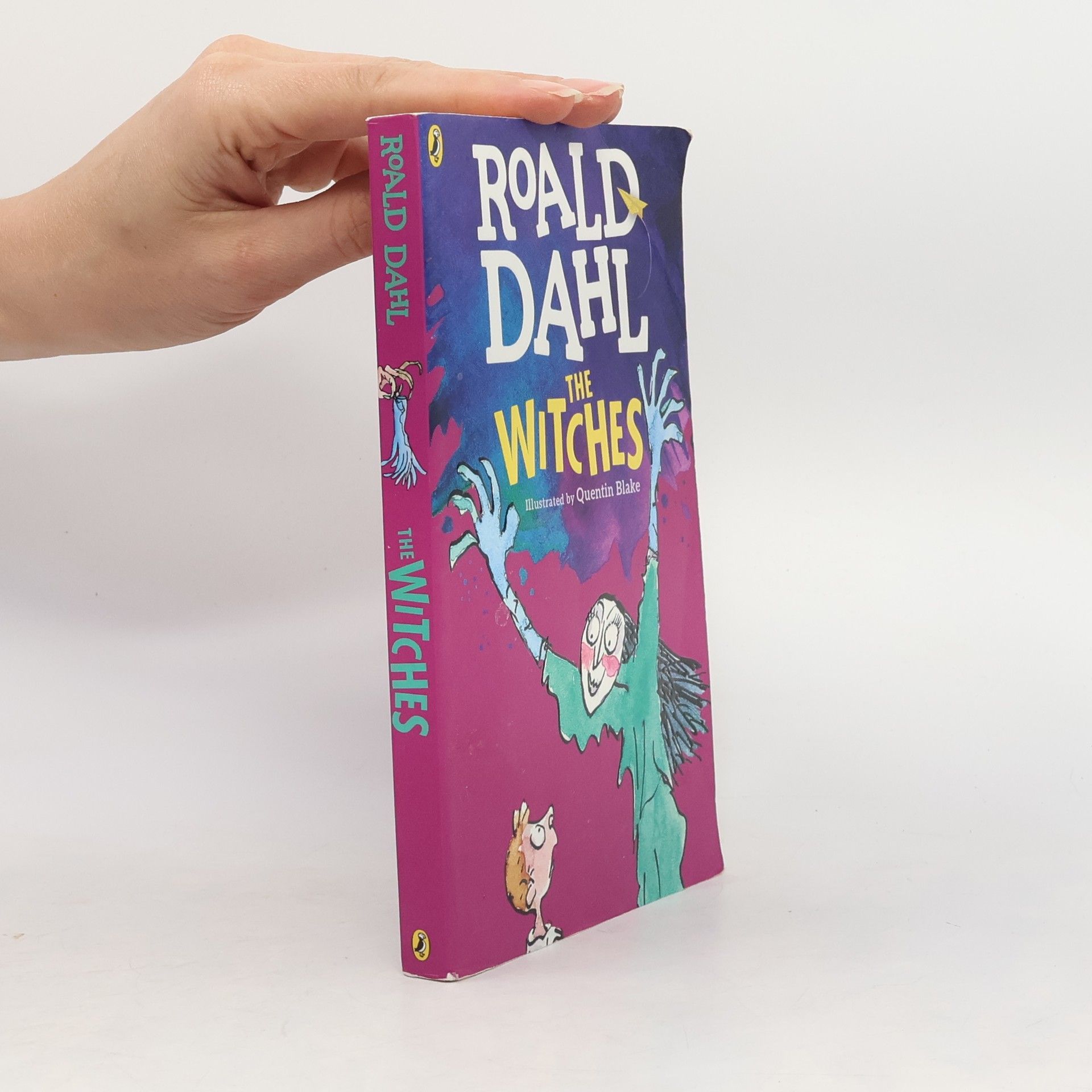 Roald Dahl The Witches