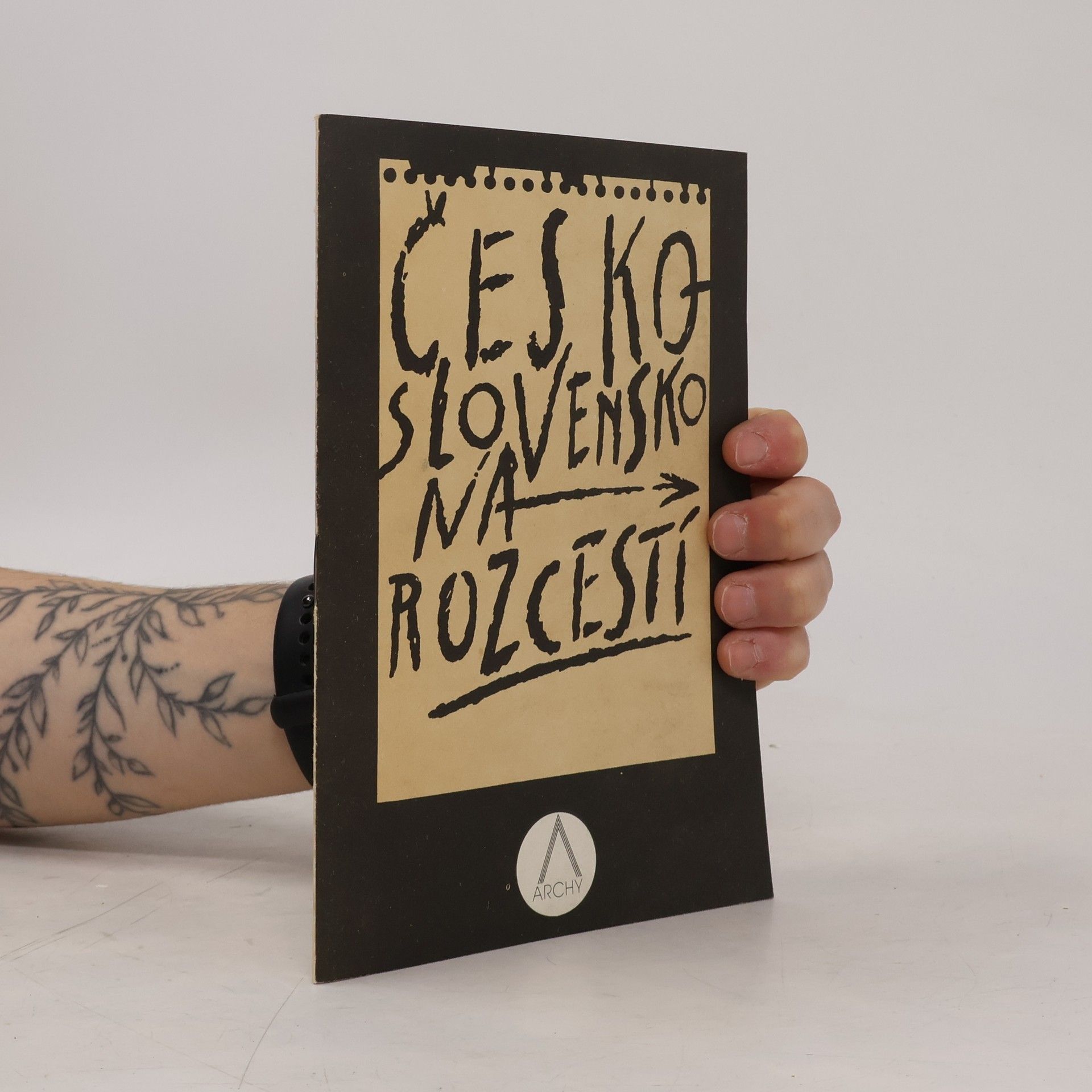 Collectif d'auteurs Československo na rozcestí