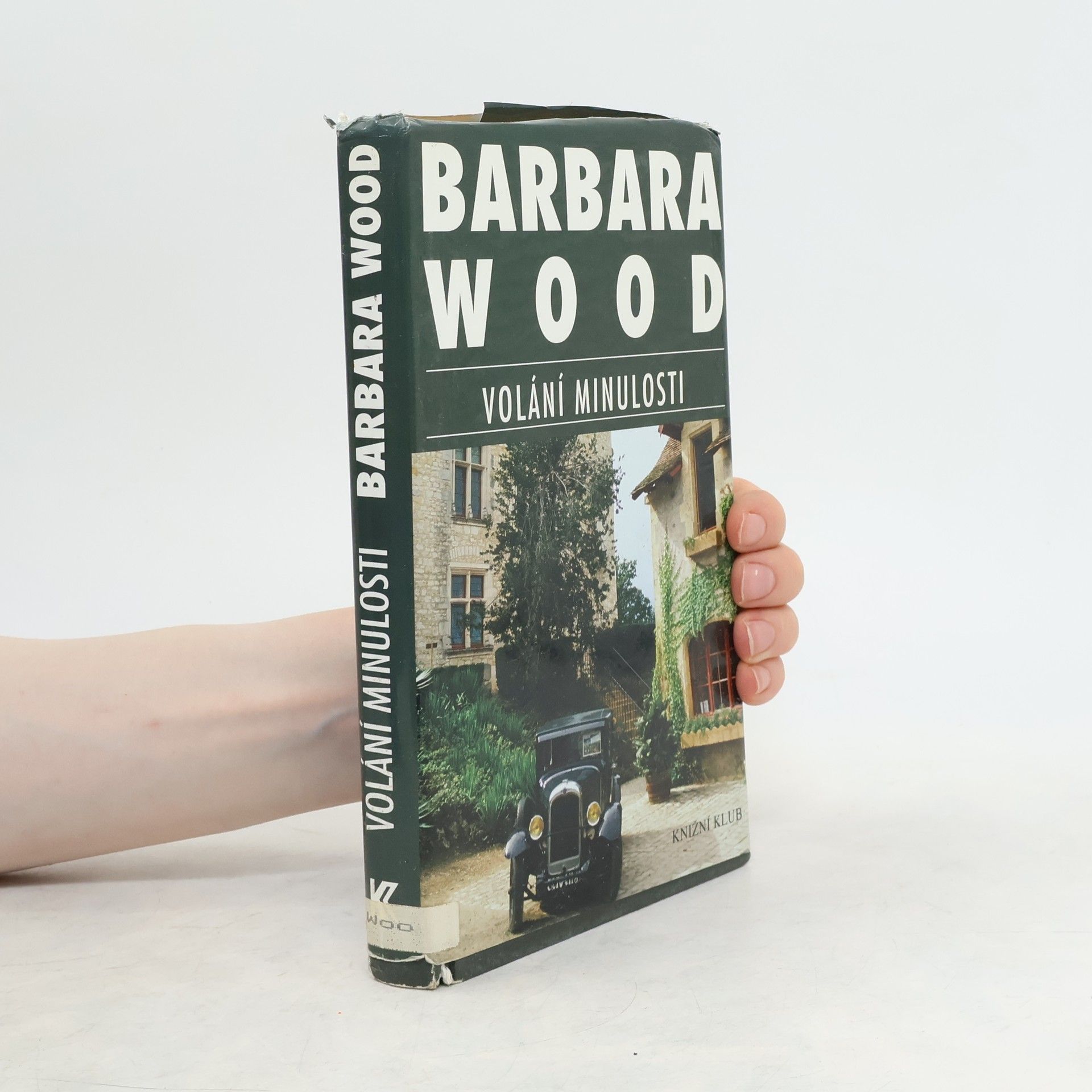 Barbara Wood Volání minulosti