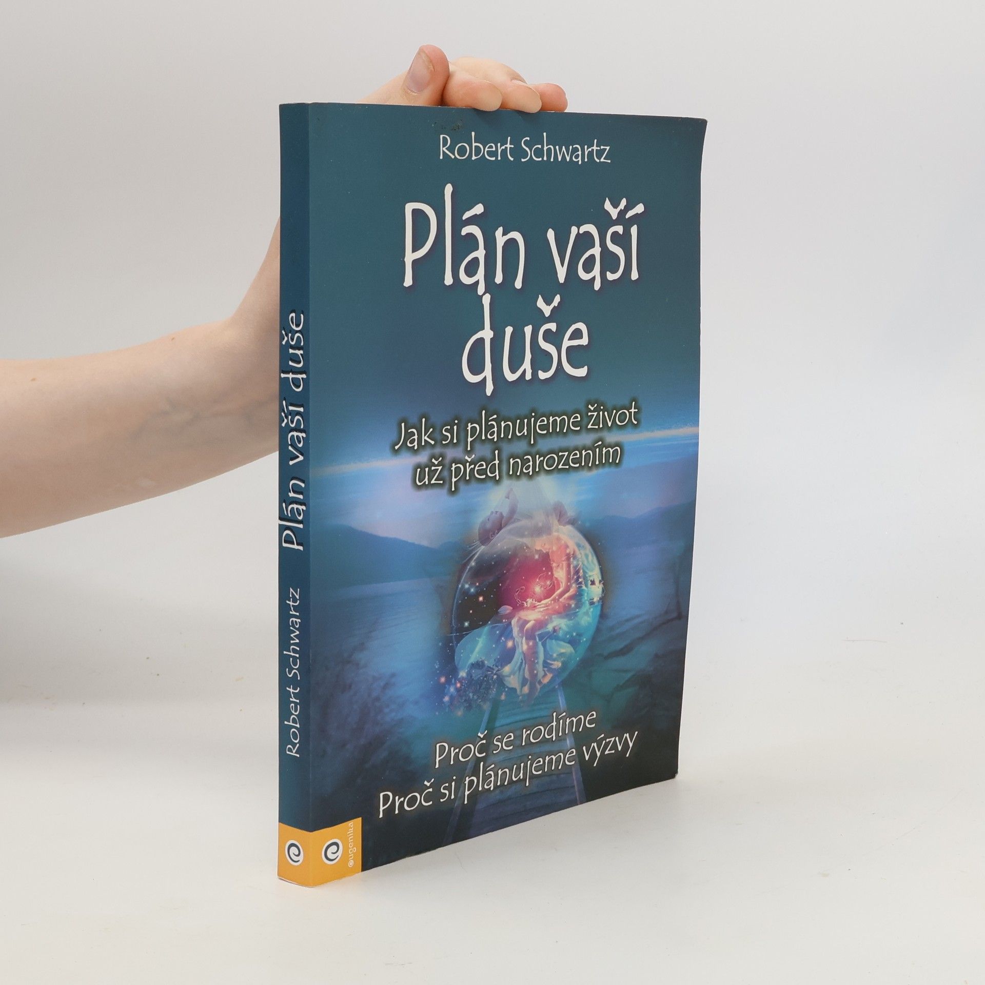 Zuzana Šestáková Plán vaší duše. Jak si plánujeme život už před narozením