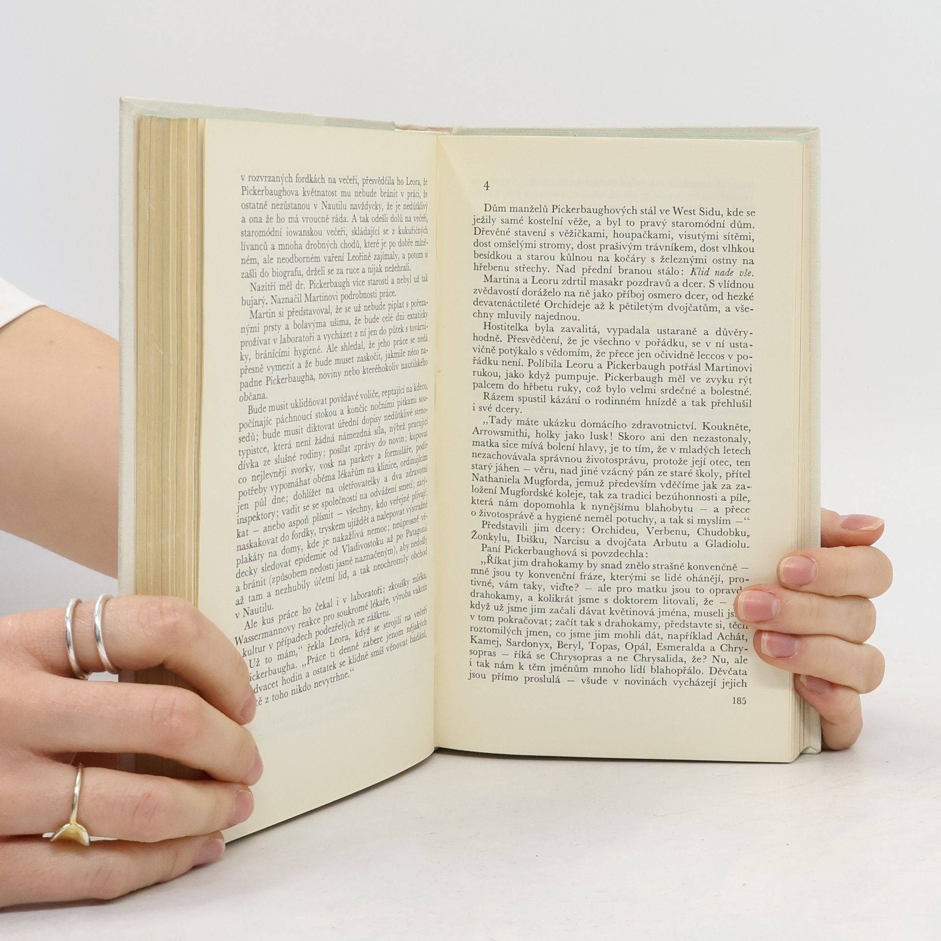 Sinclair Lewis Arrowsmith