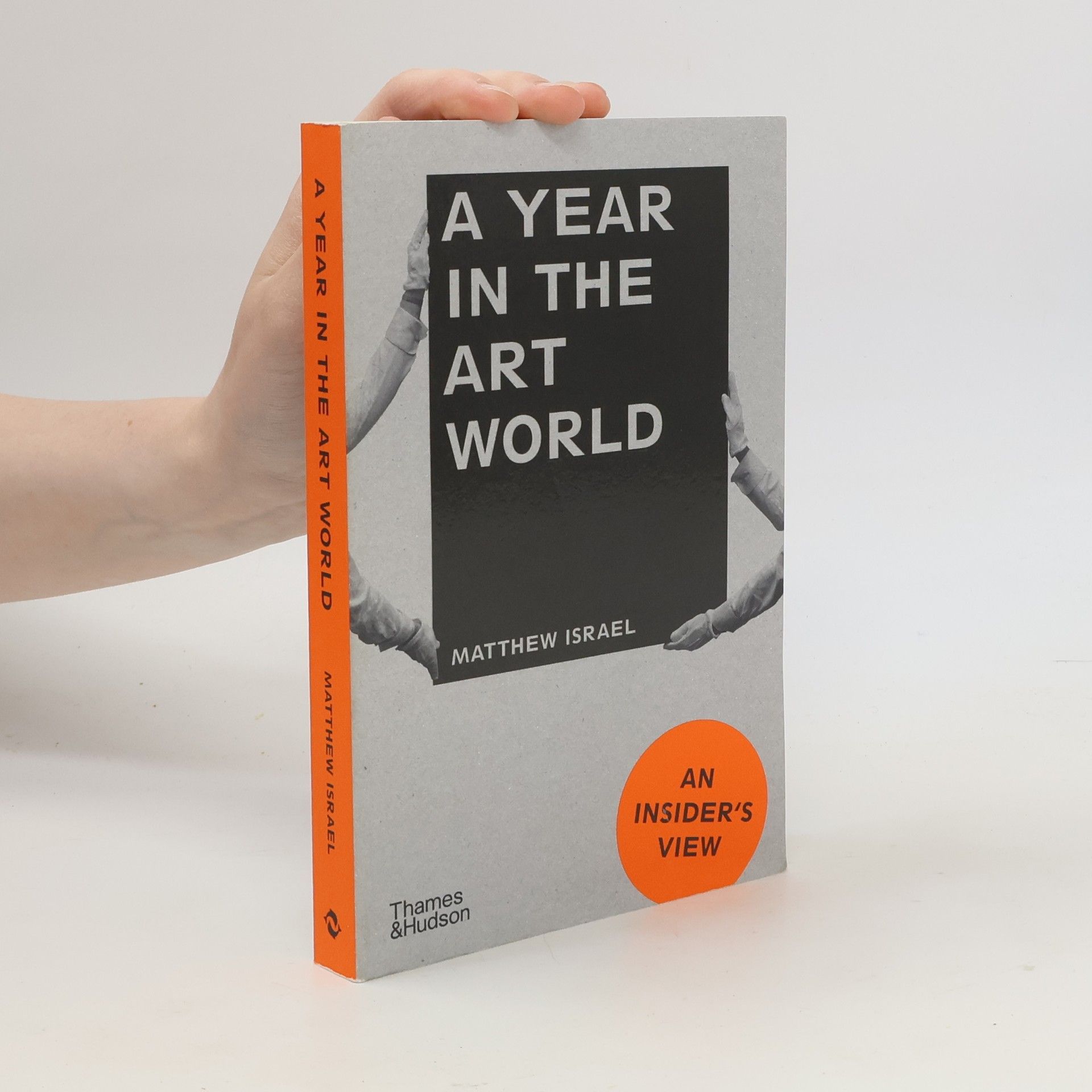 Matthew Israel A Year in the Art World