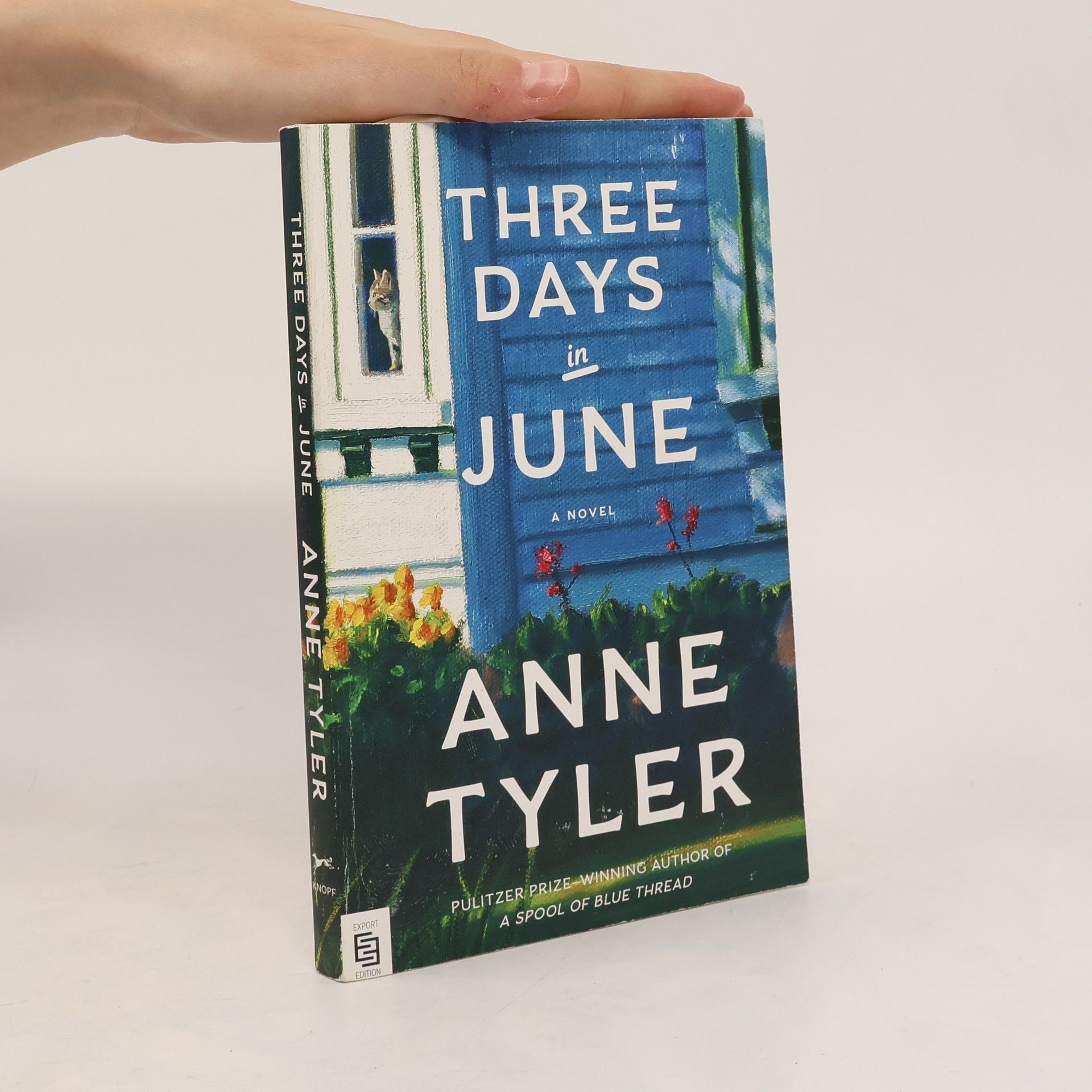 Three Days in June: A Novel - Export Edition